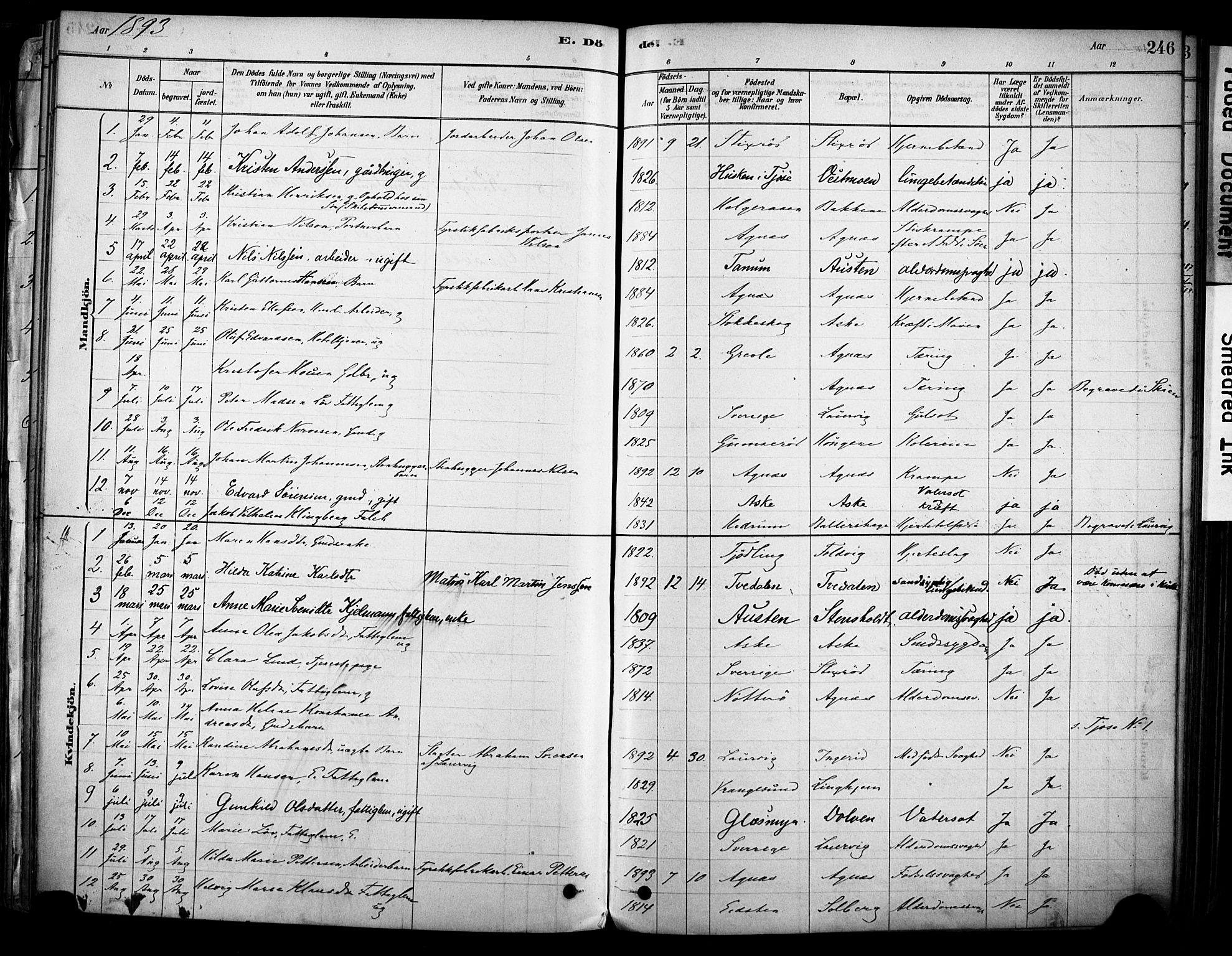 Brunlanes kirkebøker, AV/SAKO-A-342/F/Fc/L0001: Parish register (official) no. III 1, 1878-1899, p. 246