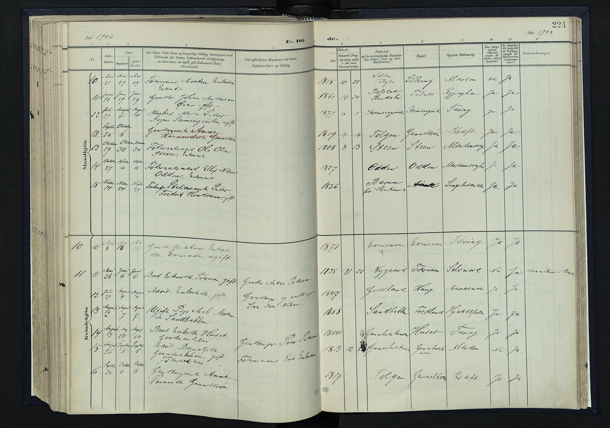 Tynset prestekontor, SAH/PREST-058/H/Ha/Haa/L0025: Parish register (official) no. 25, 1900-1914, p. 224
