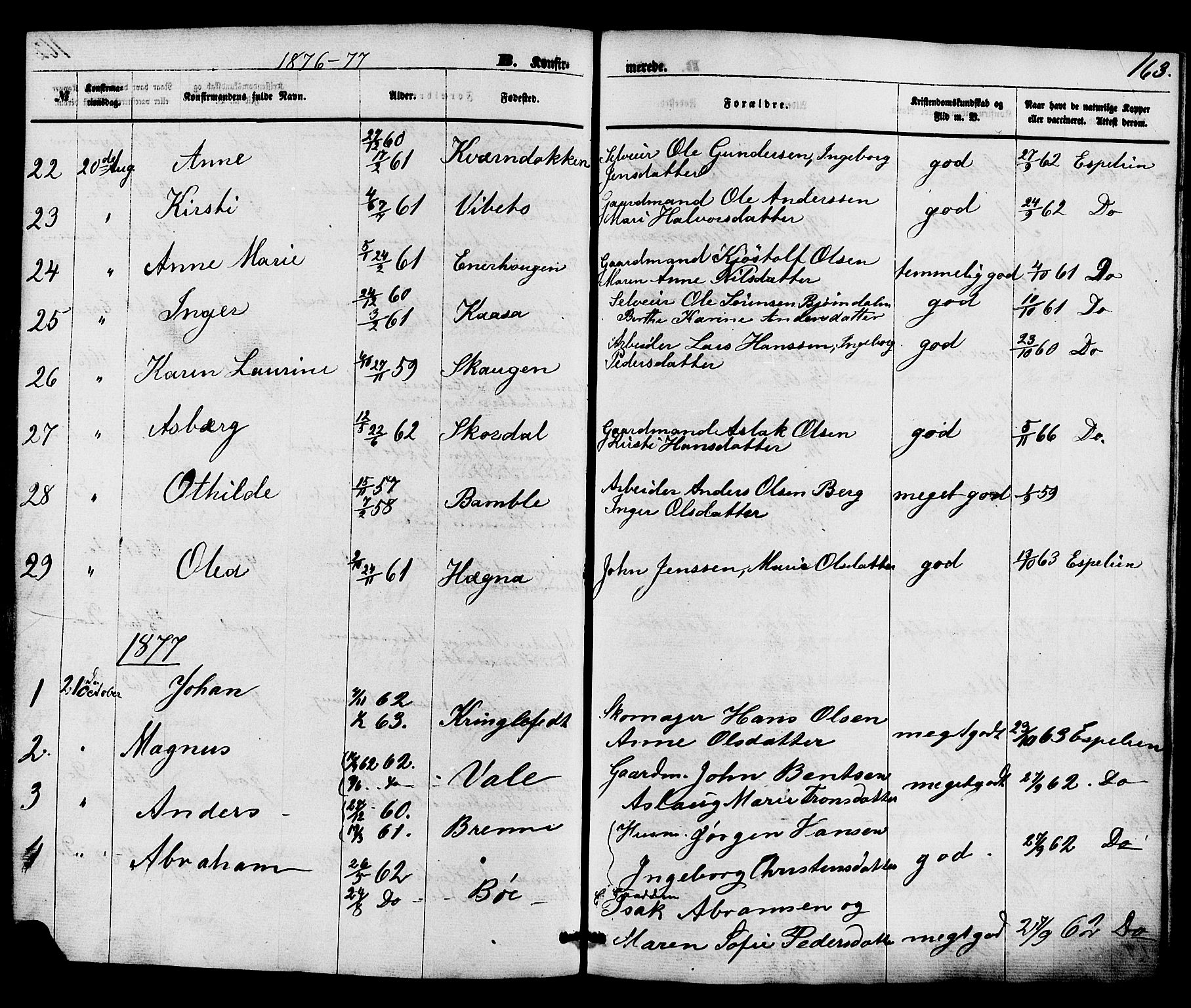 Holla kirkebøker, SAKO/A-272/F/Fa/L0007: Parish register (official) no. 7, 1869-1881, p. 163