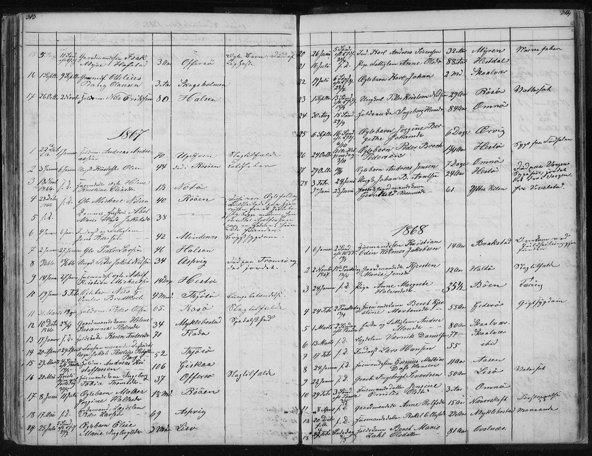 Ministerialprotokoller, klokkerbøker og fødselsregistre - Nordland, AV/SAT-A-1459/817/L0266: Parish register (copy) no. 817C01, 1841-1869, p. 313-314