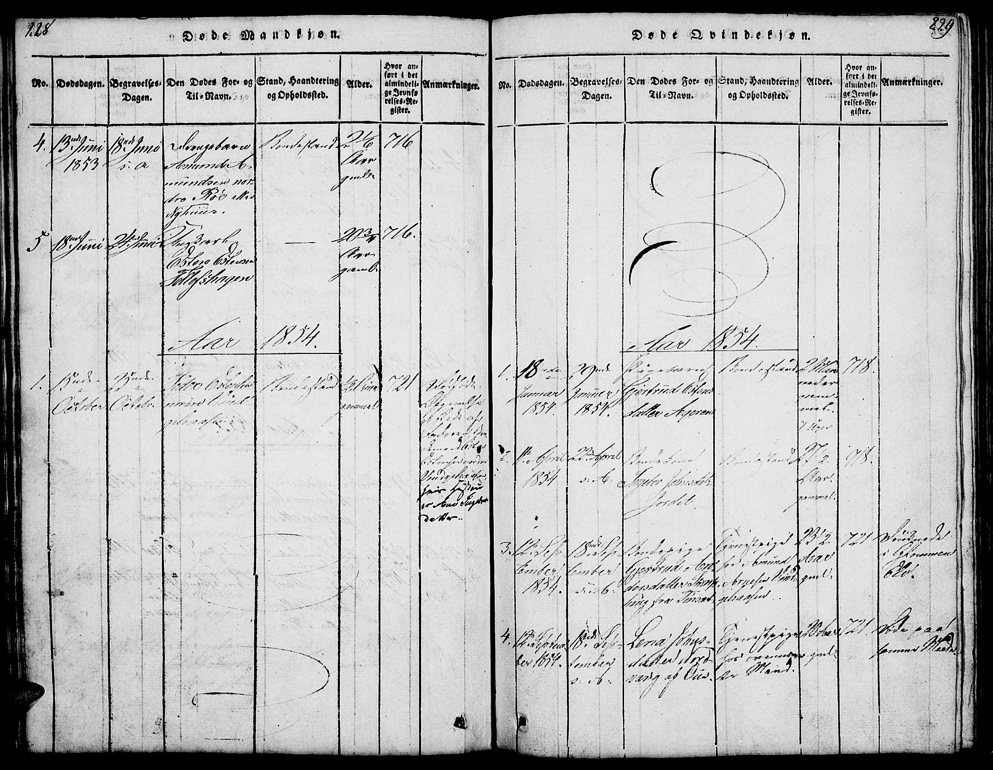 Tolga prestekontor, SAH/PREST-062/L/L0003: Parish register (copy) no. 3, 1815-1862, p. 228-229