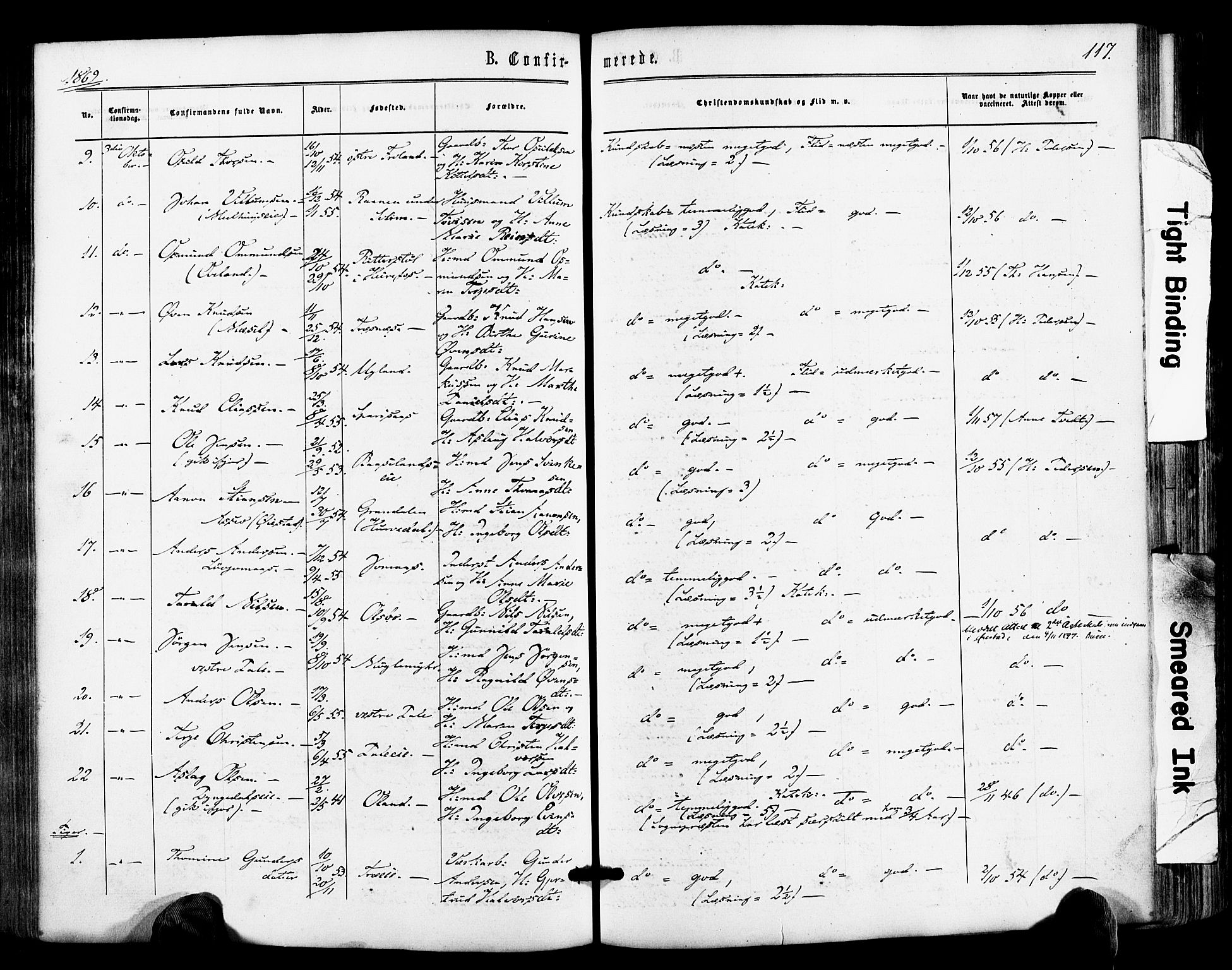 Froland sokneprestkontor, SAK/1111-0013/F/Fa/L0003: Parish register (official) no. A 3, 1864-1881, p. 117