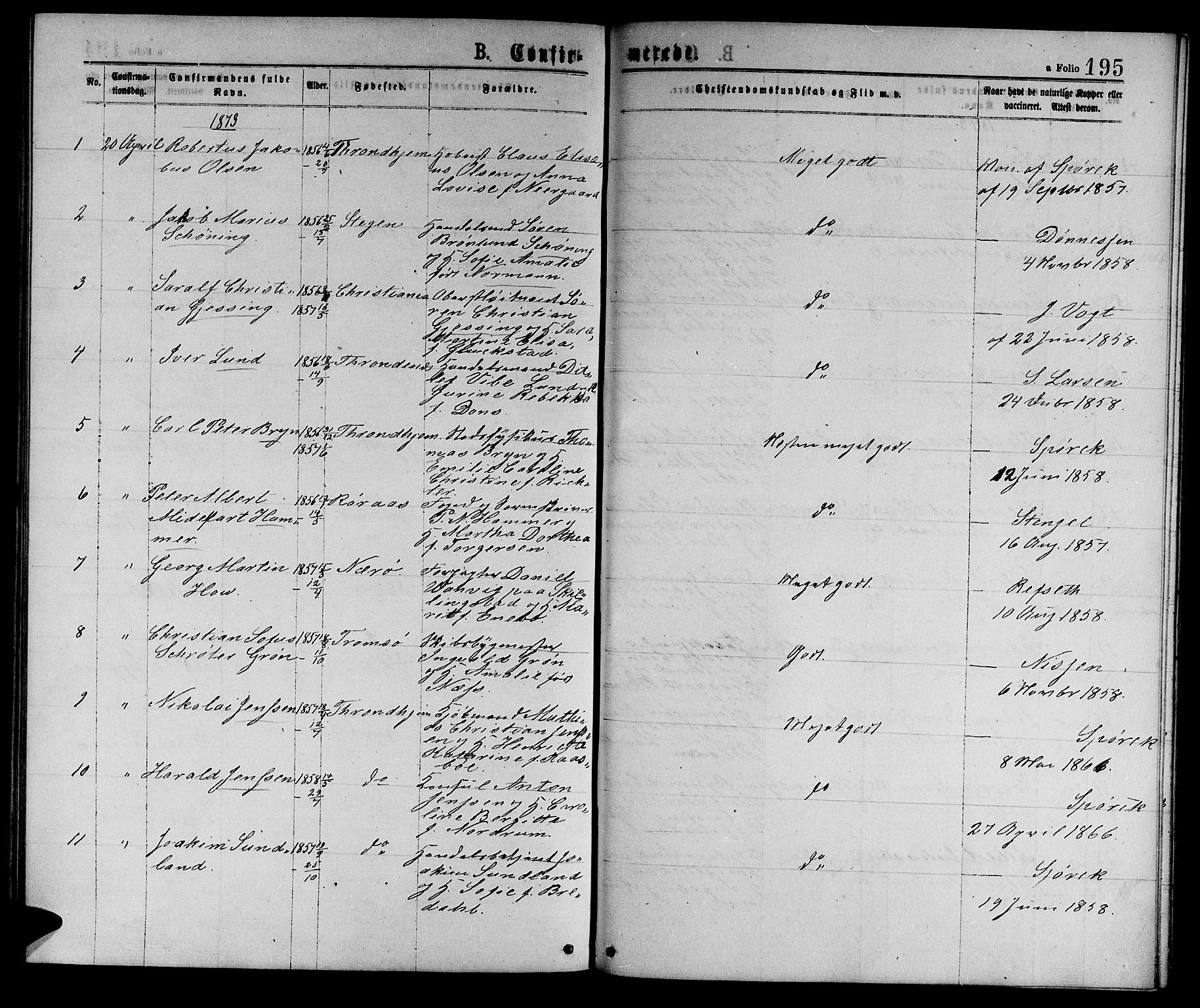 Ministerialprotokoller, klokkerbøker og fødselsregistre - Sør-Trøndelag, SAT/A-1456/601/L0088: Parish register (copy) no. 601C06, 1870-1878, p. 195