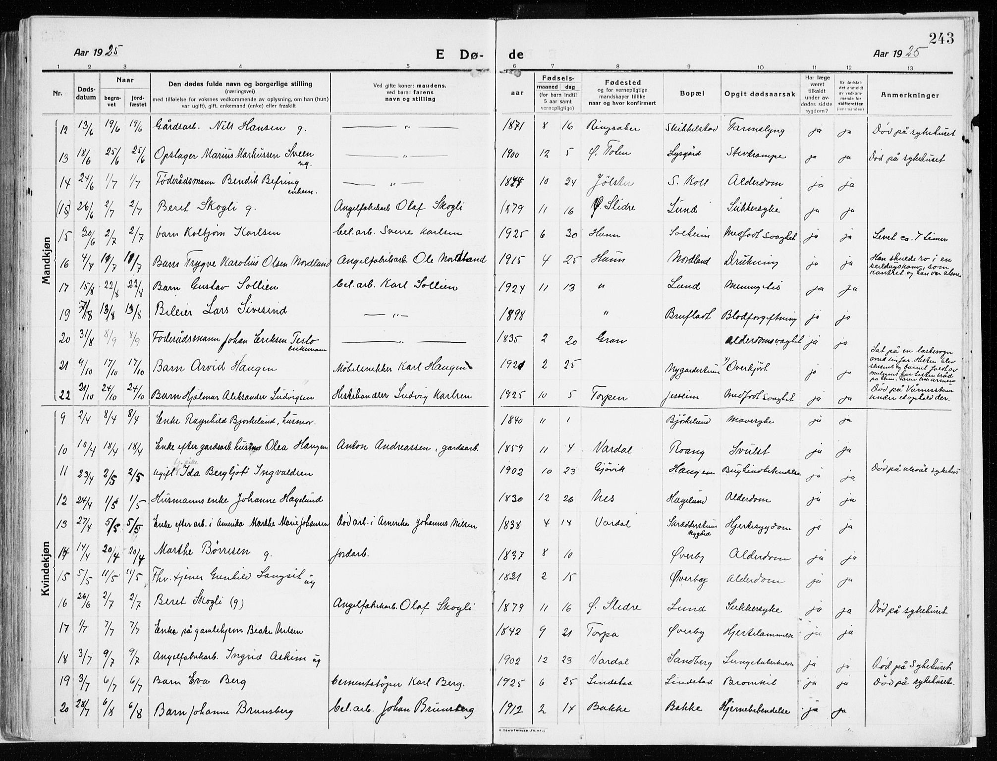 Vardal prestekontor, AV/SAH-PREST-100/H/Ha/Haa/L0017: Parish register (official) no. 17, 1915-1929, p. 243