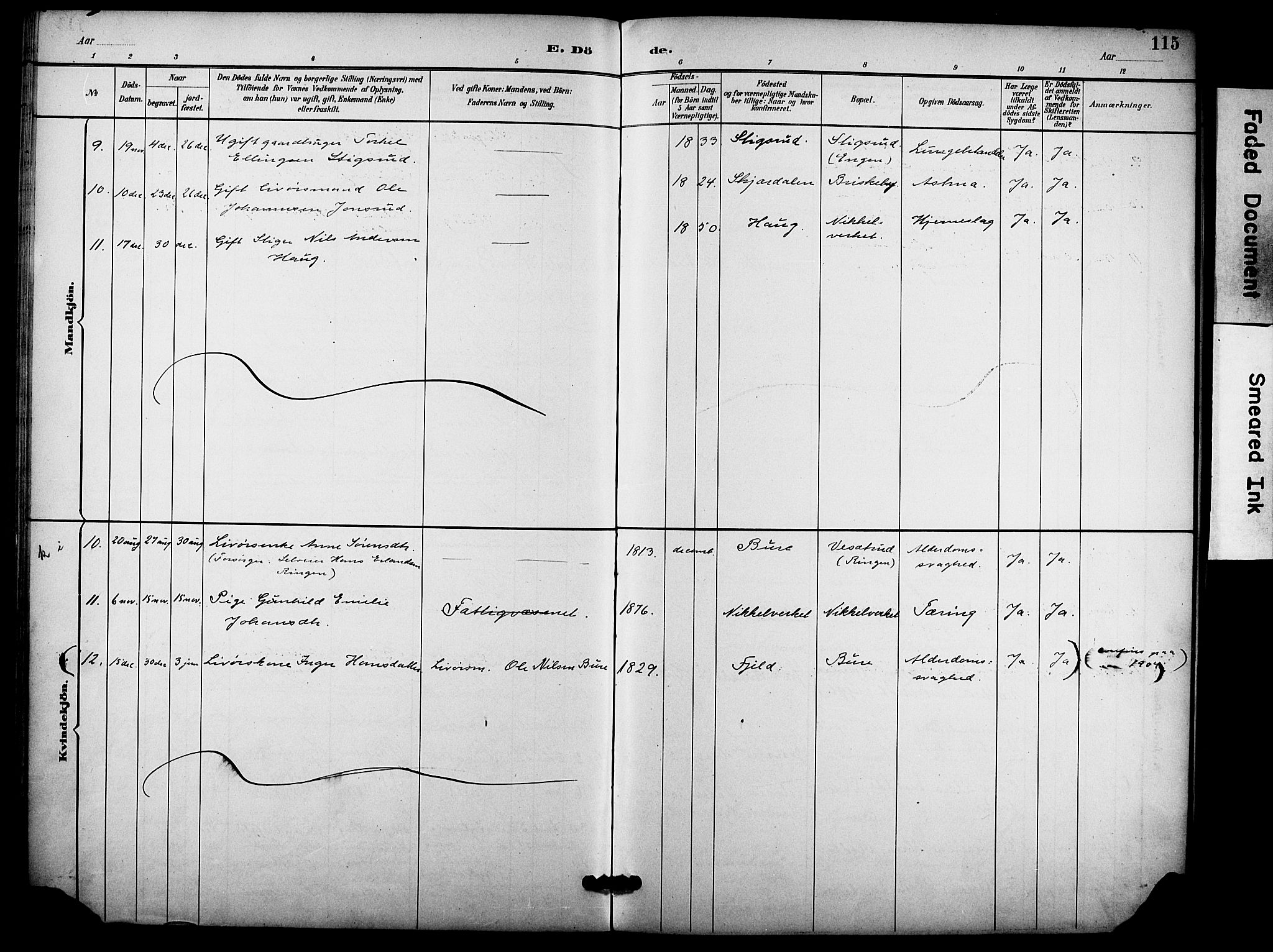 Hole kirkebøker, AV/SAKO-A-228/F/Fb/L0002: Parish register (official) no. II 2, 1892-1906, p. 115