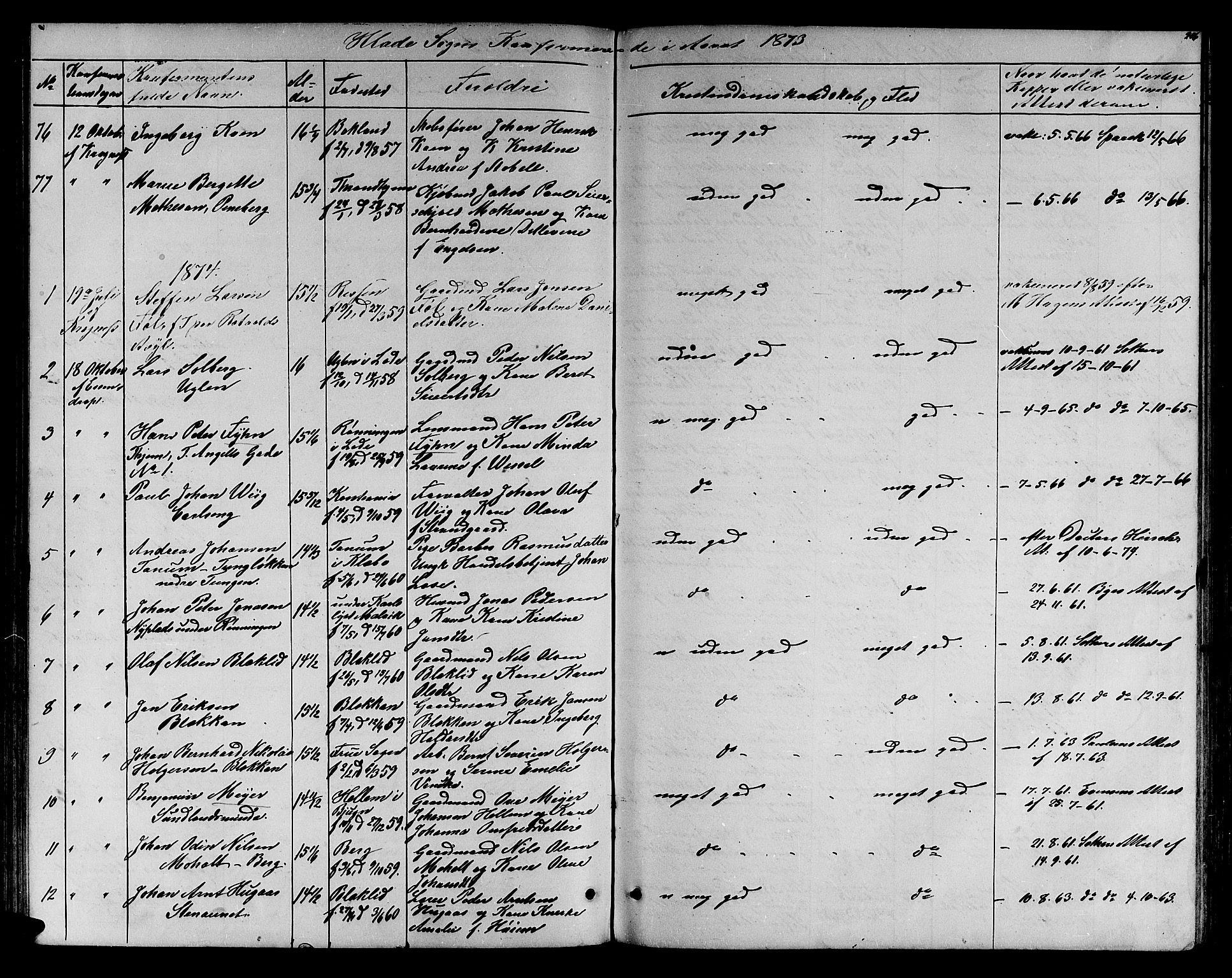 Ministerialprotokoller, klokkerbøker og fødselsregistre - Sør-Trøndelag, SAT/A-1456/606/L0311: Parish register (copy) no. 606C07, 1860-1877, p. 206