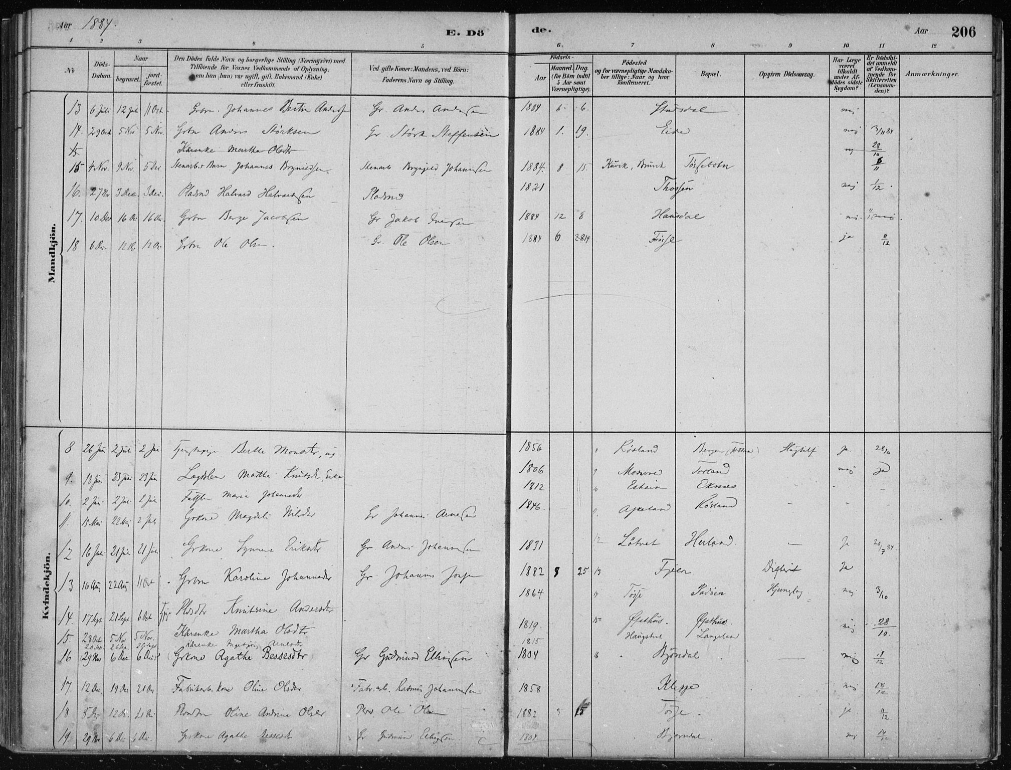 Hosanger sokneprestembete, AV/SAB-A-75801/H/Haa: Parish register (official) no. B  1, 1880-1896, p. 206