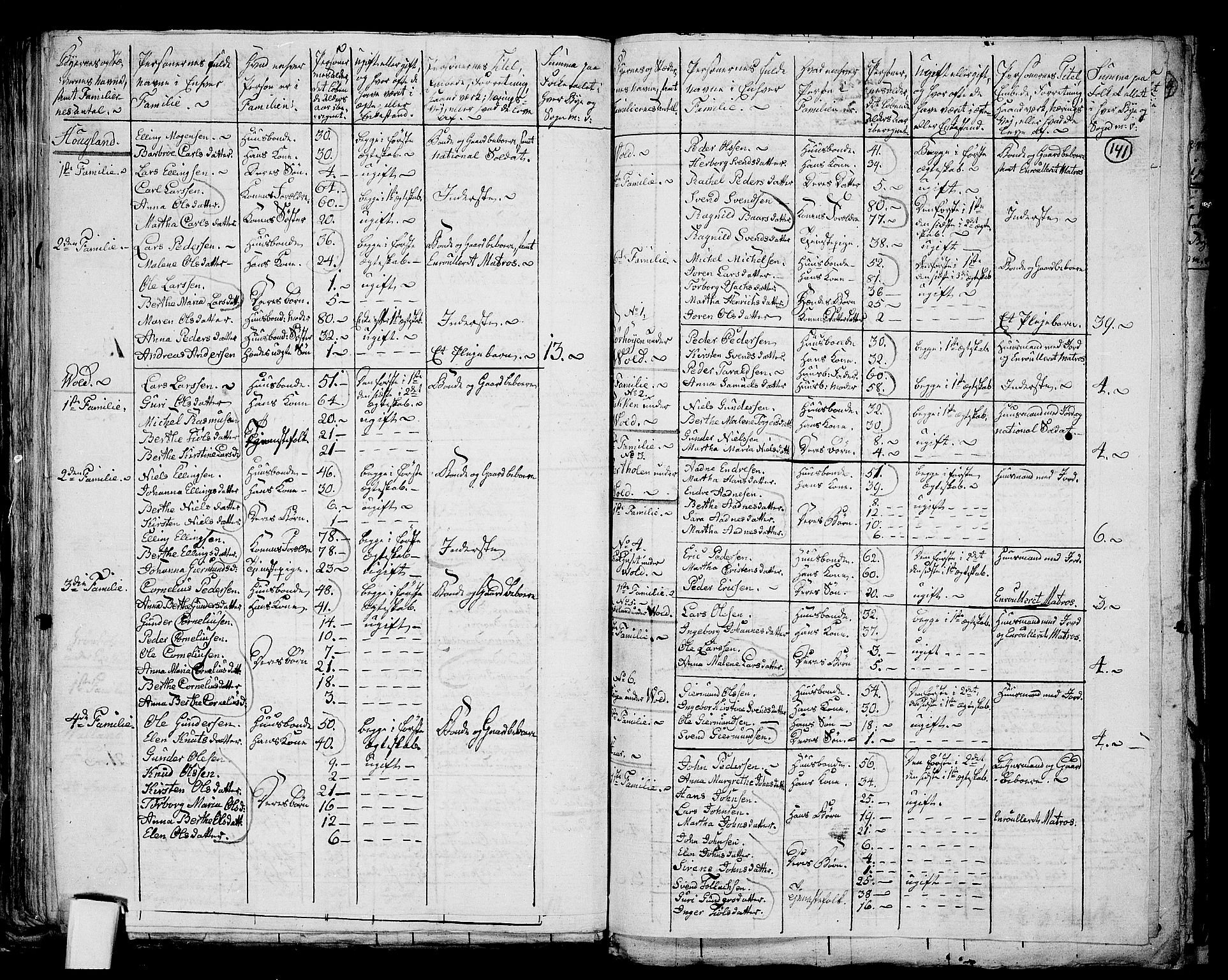 RA, 1801 census for 1119P Hå, 1801, p. 140b-141a