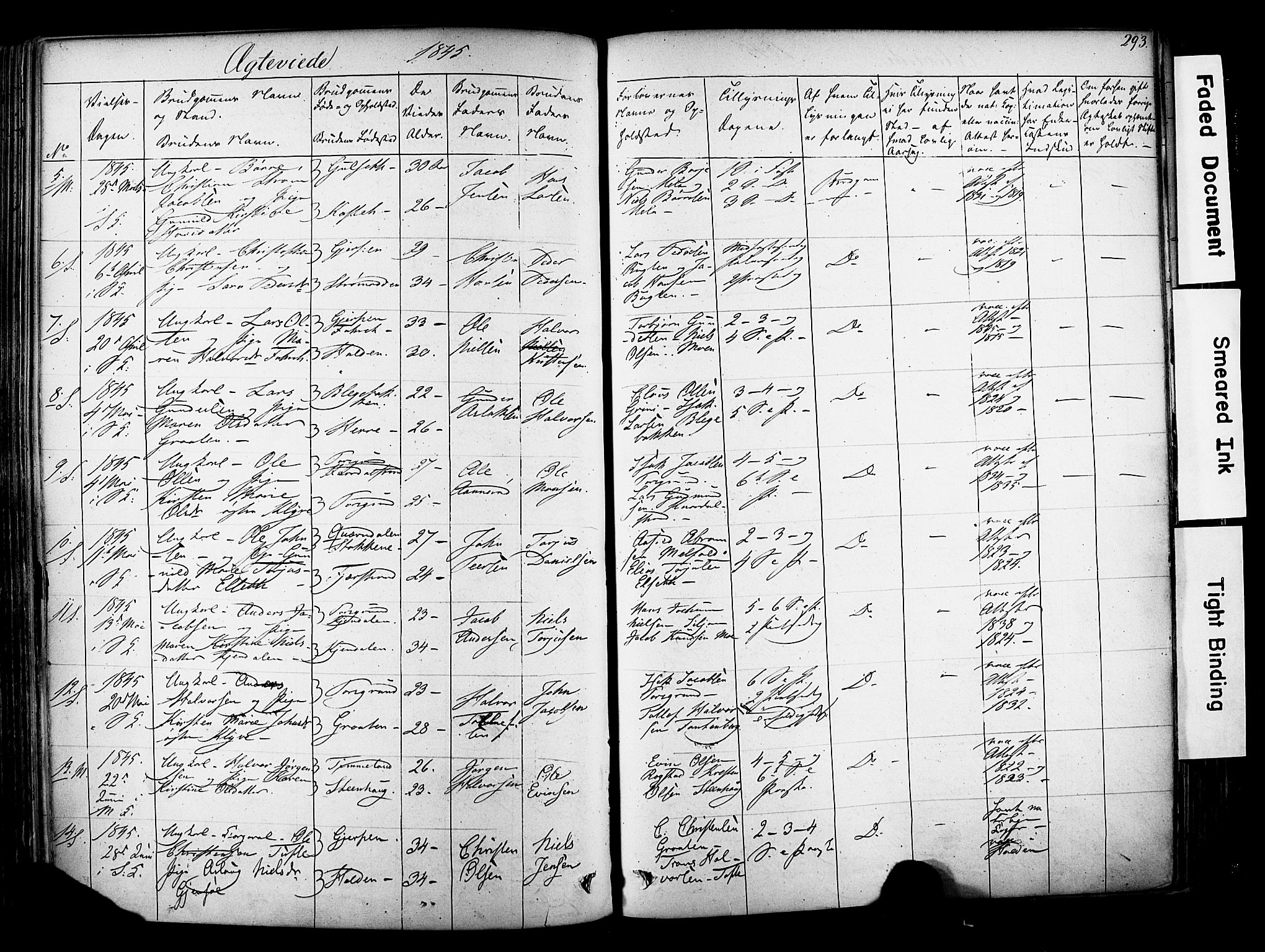 Solum kirkebøker, AV/SAKO-A-306/F/Fa/L0006: Parish register (official) no. I 6, 1844-1855, p. 293