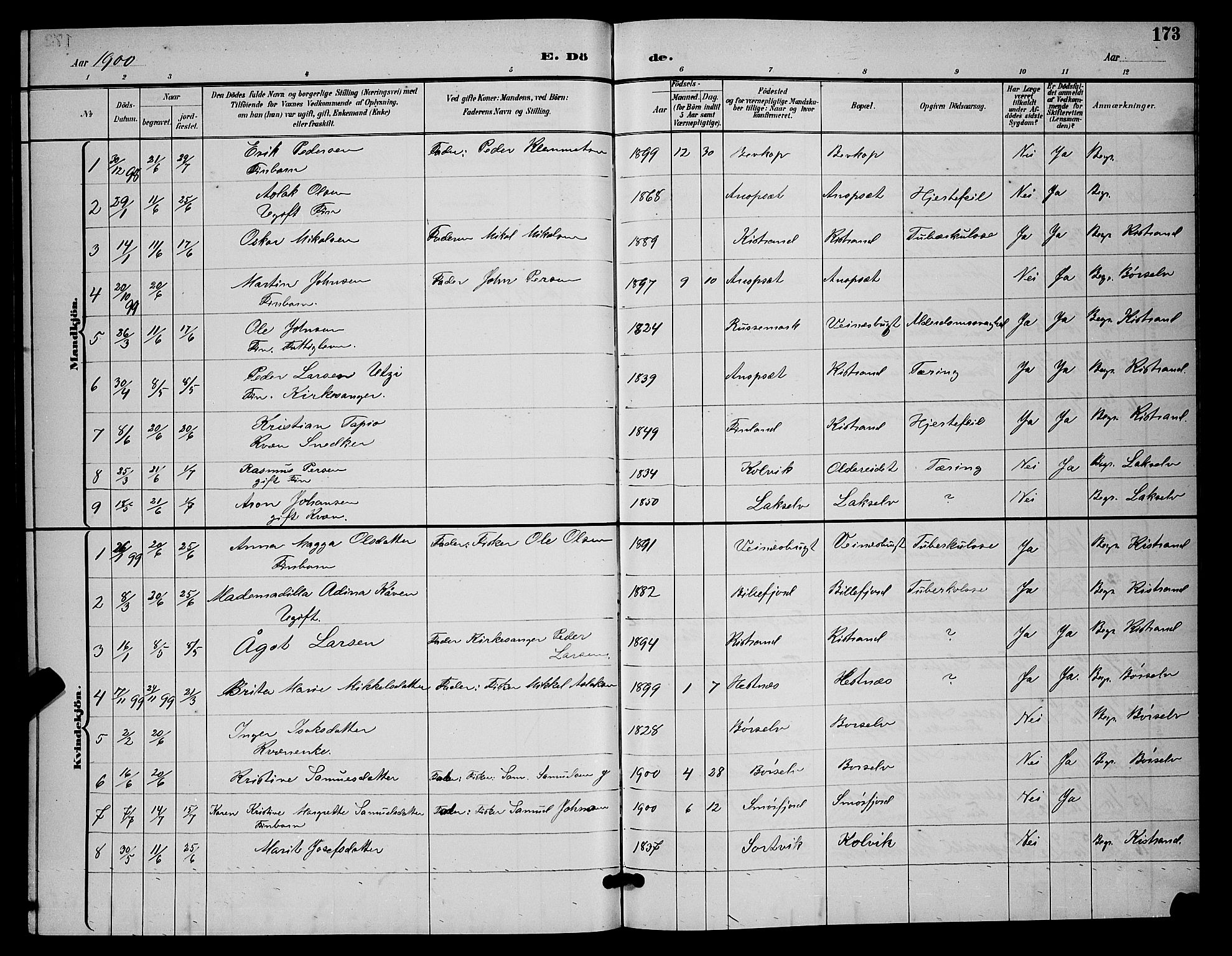 Kistrand/Porsanger sokneprestembete, AV/SATØ-S-1351/H/Hb/L0005.klokk: Parish register (copy) no. 5, 1895-1904, p. 173