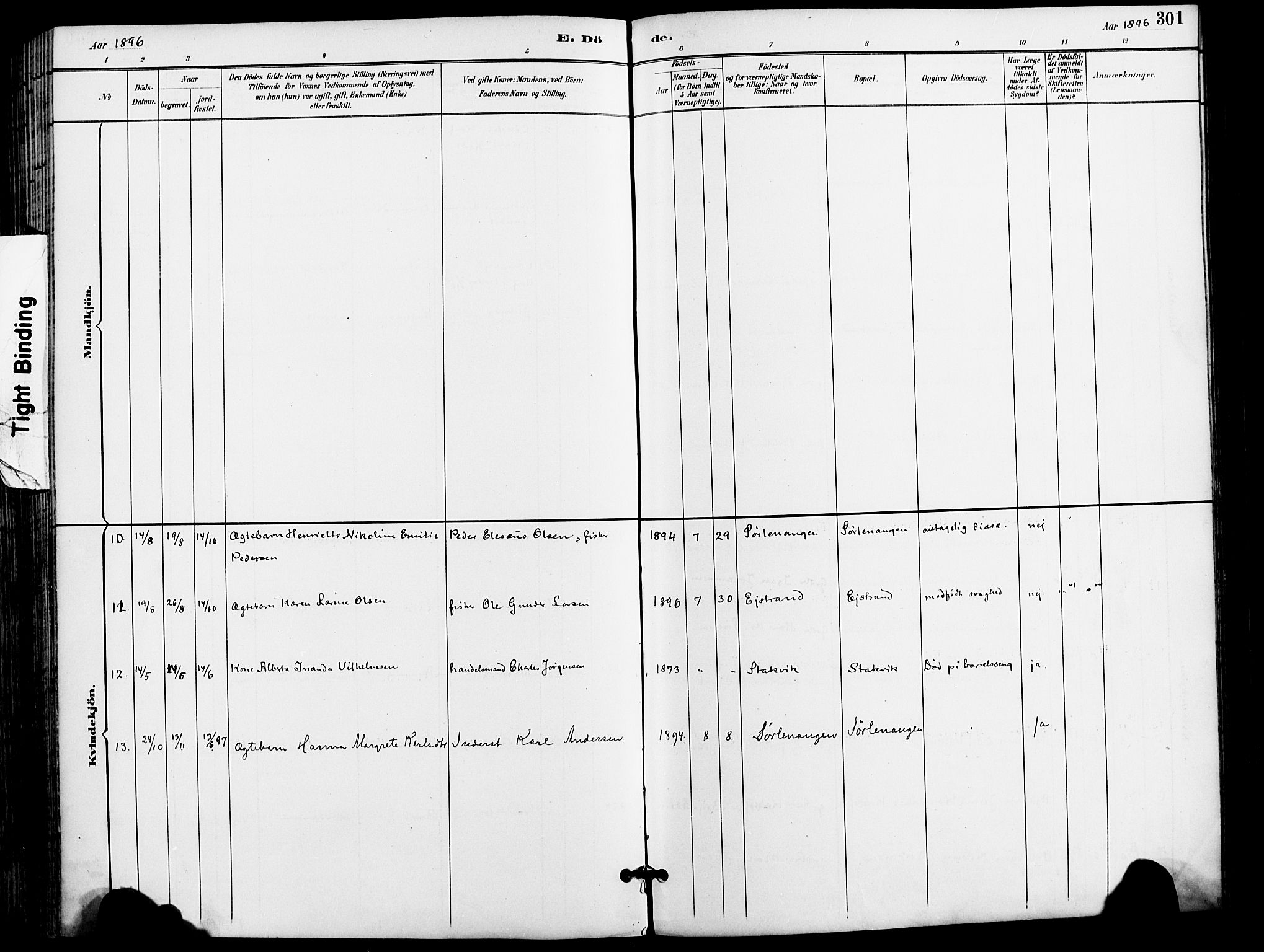 Karlsøy sokneprestembete, SATØ/S-1299/H/Ha/Haa/L0007kirke: Parish register (official) no. 7, 1891-1902, p. 301