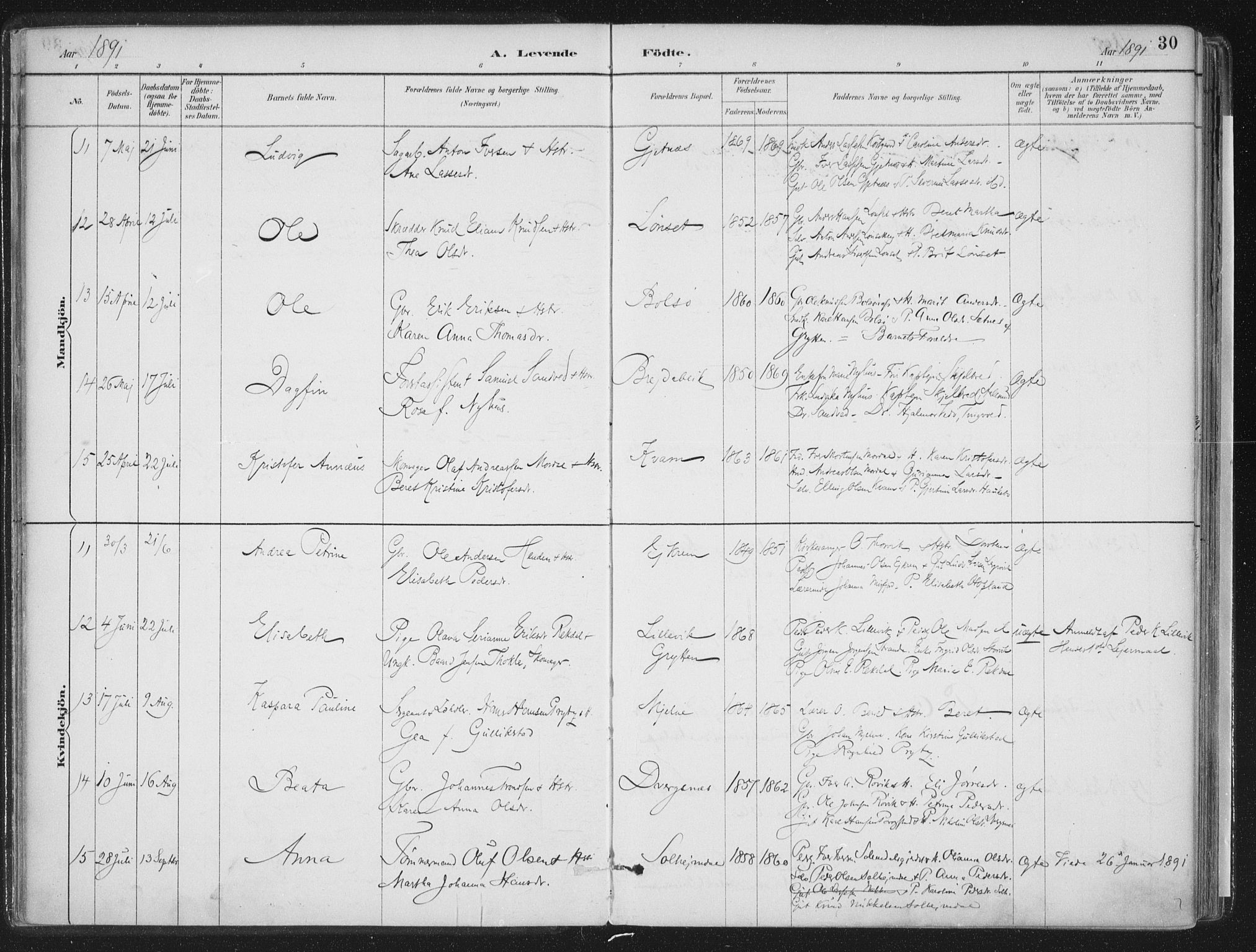 Ministerialprotokoller, klokkerbøker og fødselsregistre - Møre og Romsdal, SAT/A-1454/555/L0658: Parish register (official) no. 555A09, 1887-1917, p. 30