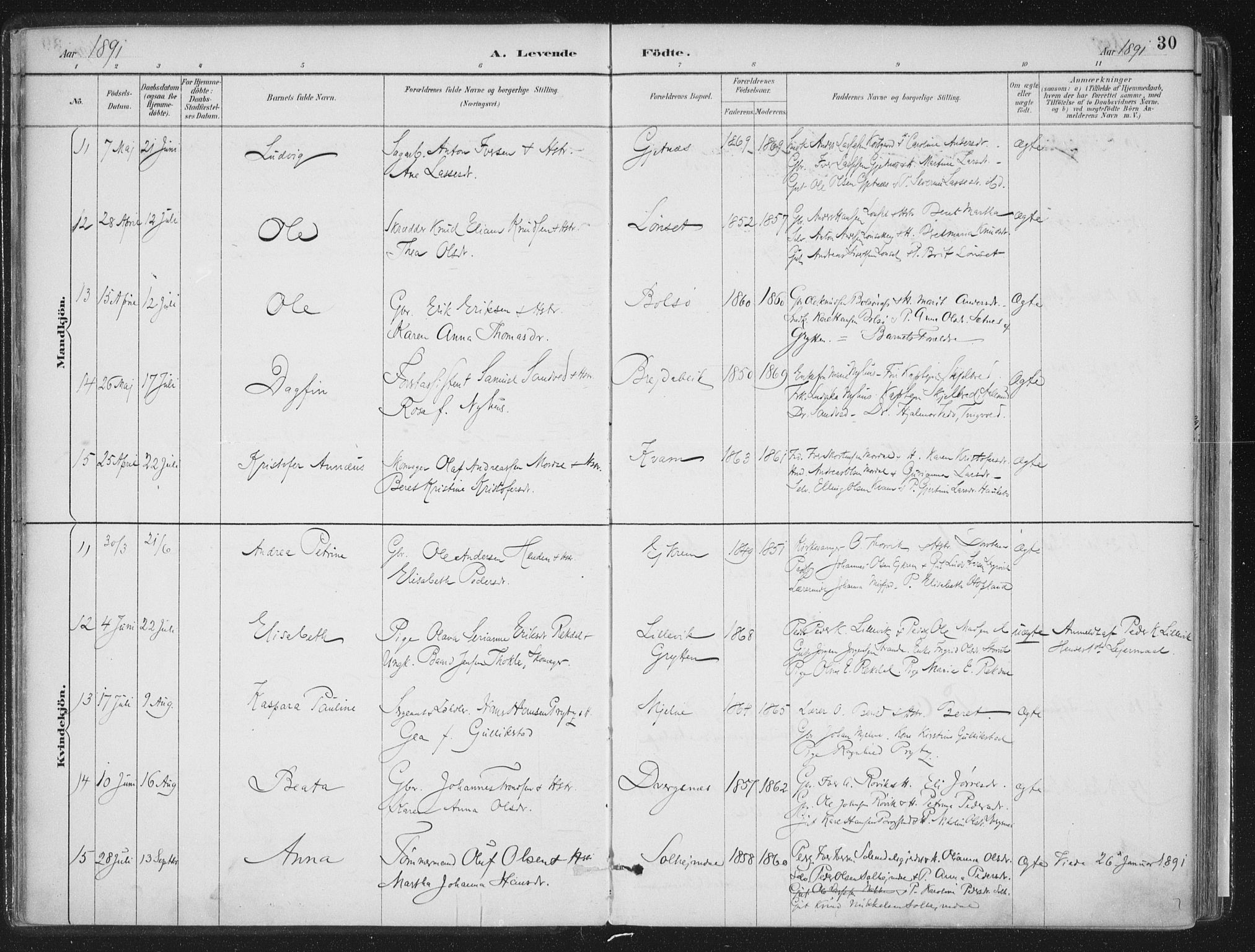 Ministerialprotokoller, klokkerbøker og fødselsregistre - Møre og Romsdal, AV/SAT-A-1454/555/L0658: Parish register (official) no. 555A09, 1887-1917, p. 30