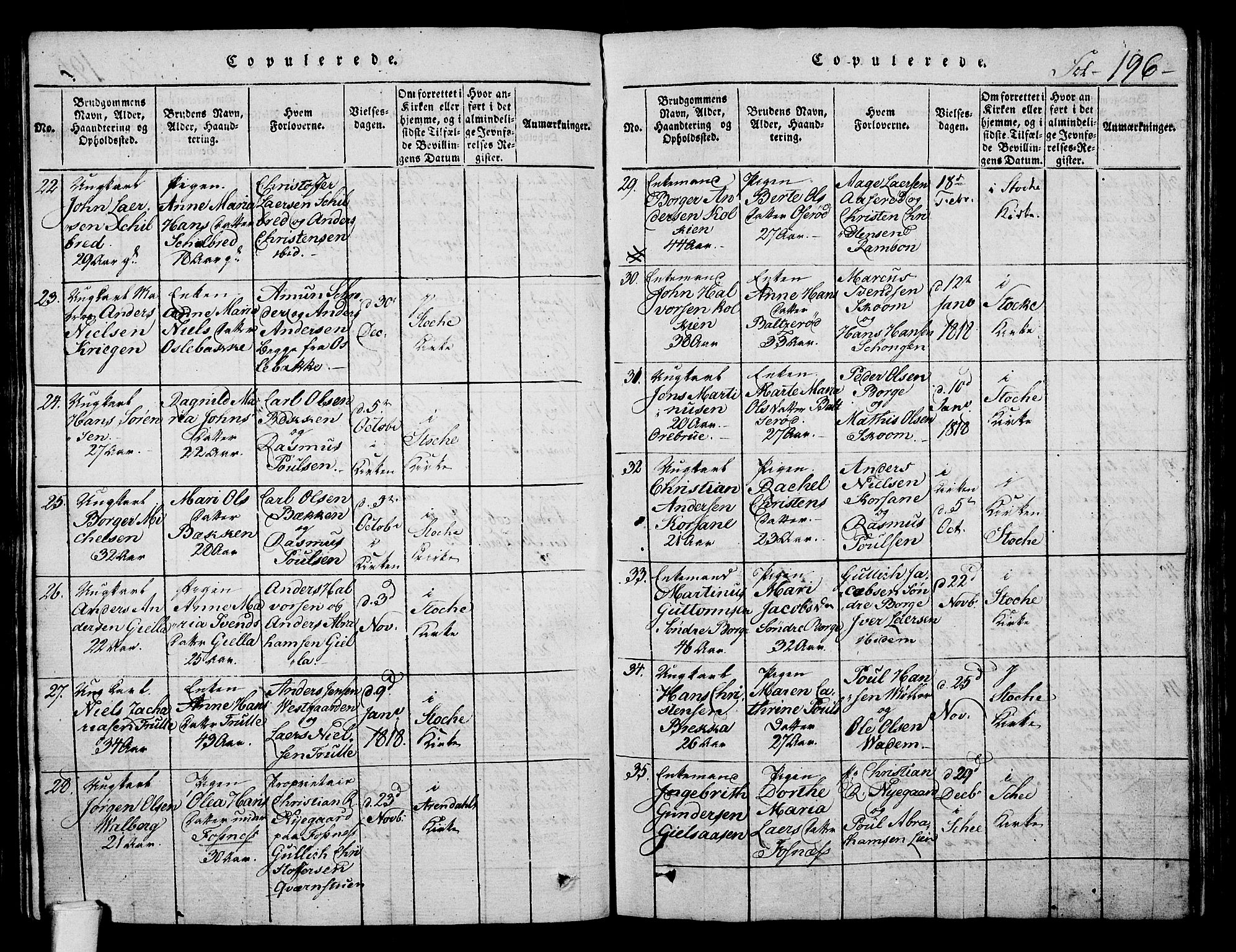 Stokke kirkebøker, AV/SAKO-A-320/F/Fa/L0005: Parish register (official) no. I 5, 1815-1826, p. 196