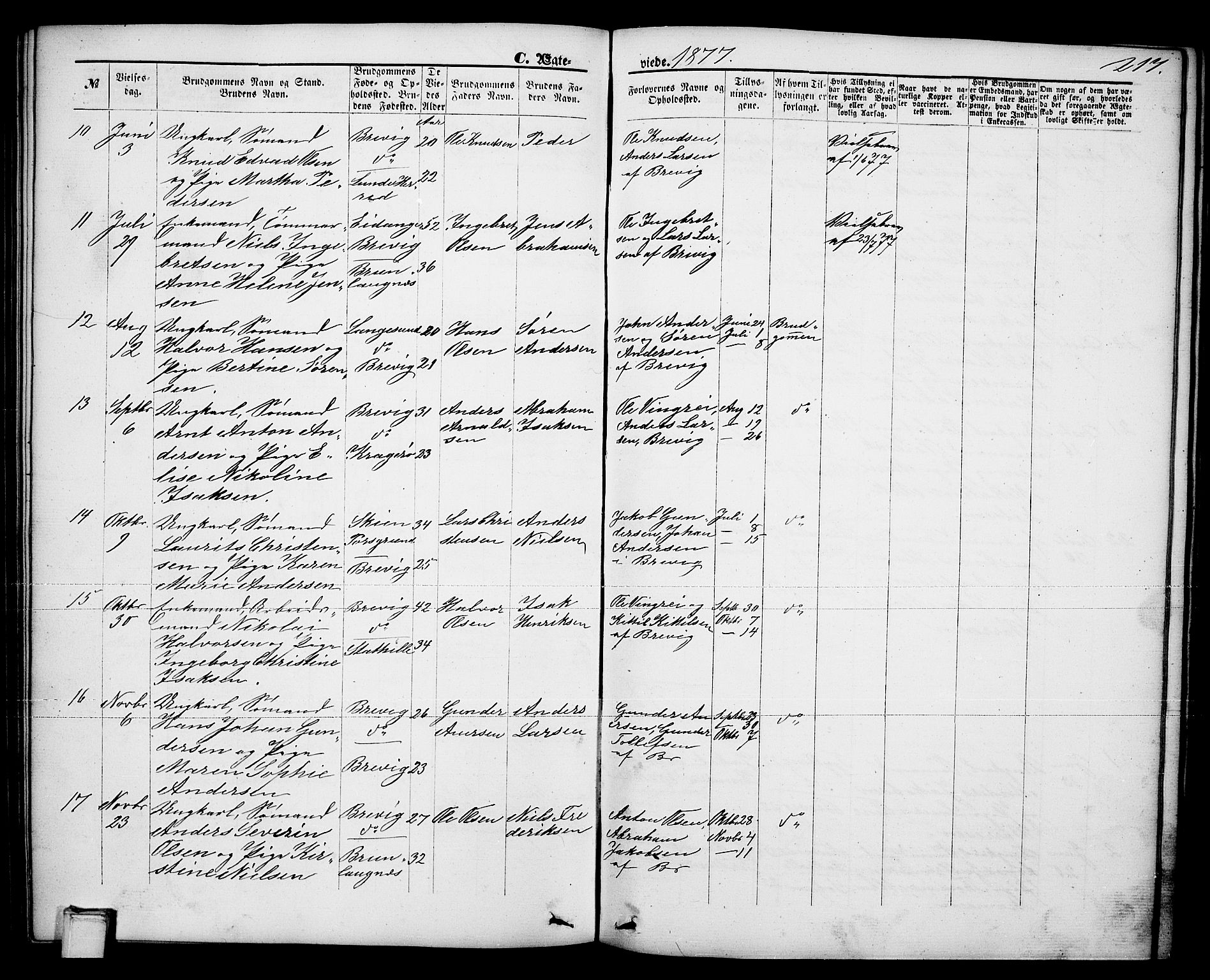 Brevik kirkebøker, AV/SAKO-A-255/G/Ga/L0003: Parish register (copy) no. 3, 1866-1881, p. 217