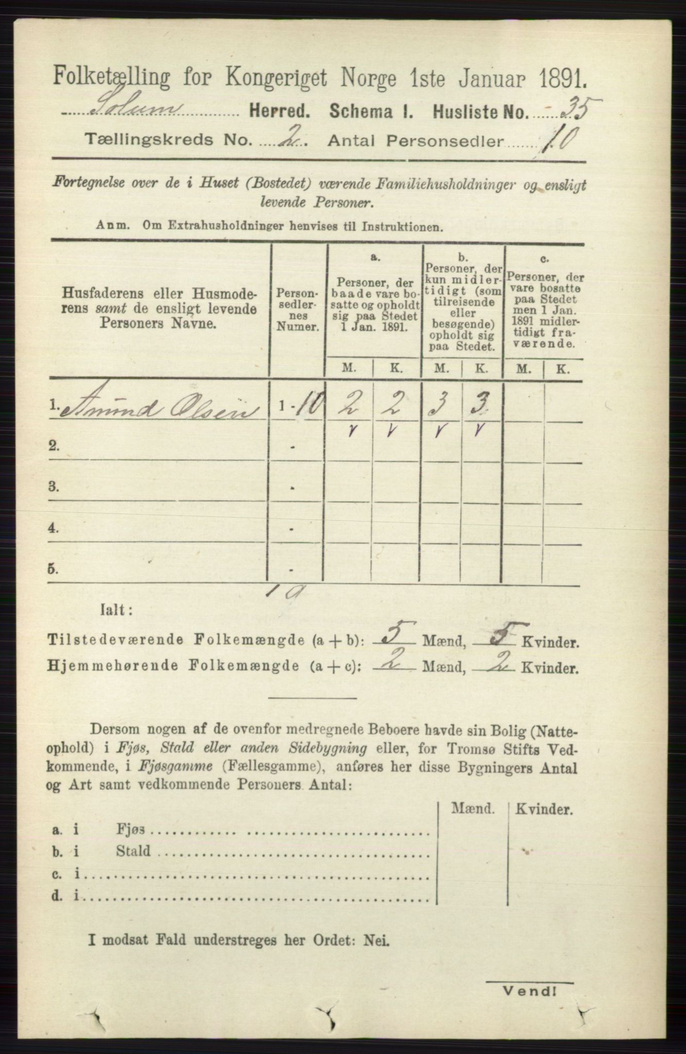 RA, 1891 census for 0818 Solum, 1891, p. 113