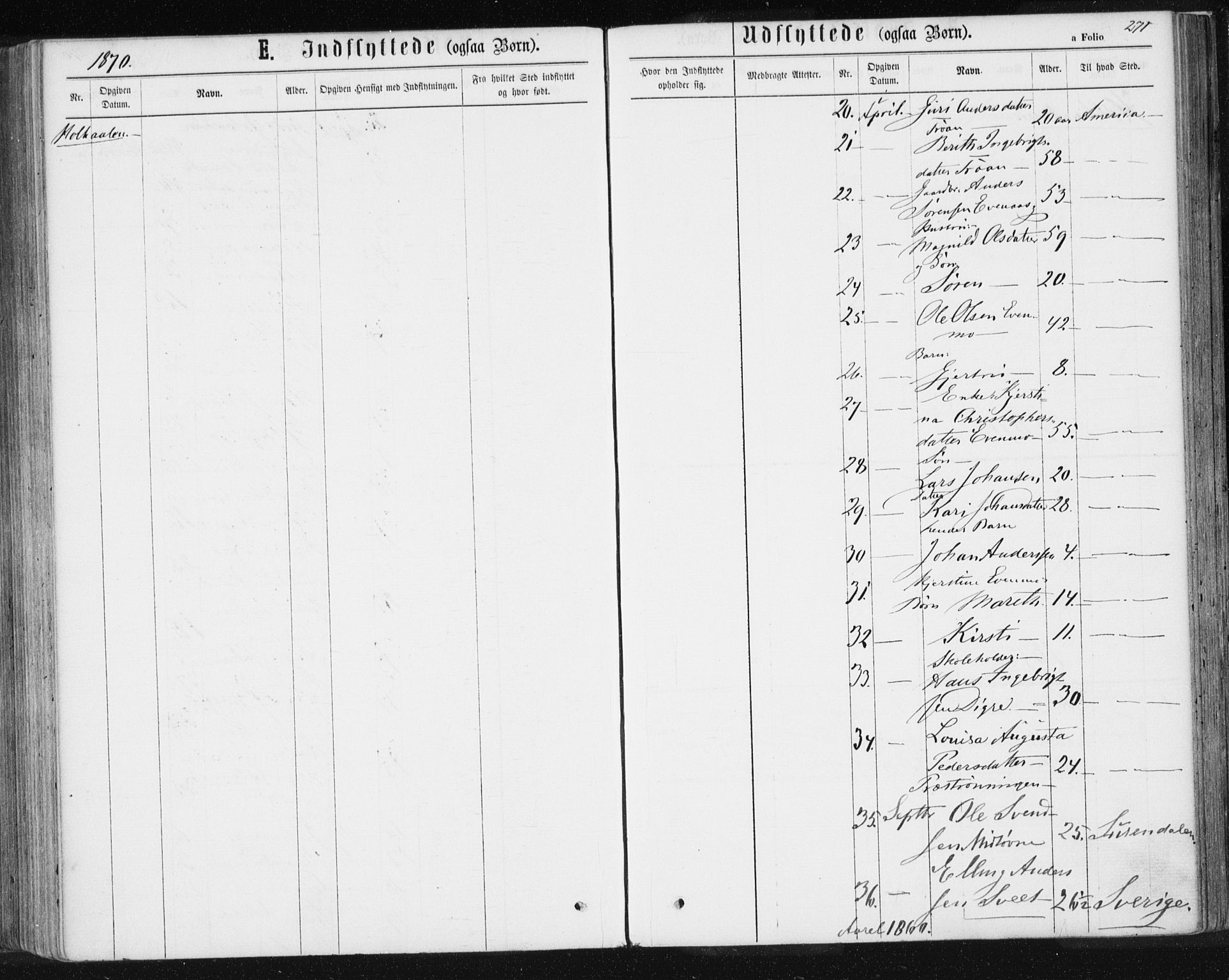Ministerialprotokoller, klokkerbøker og fødselsregistre - Sør-Trøndelag, SAT/A-1456/685/L0969: Parish register (official) no. 685A08 /1, 1870-1878, p. 271