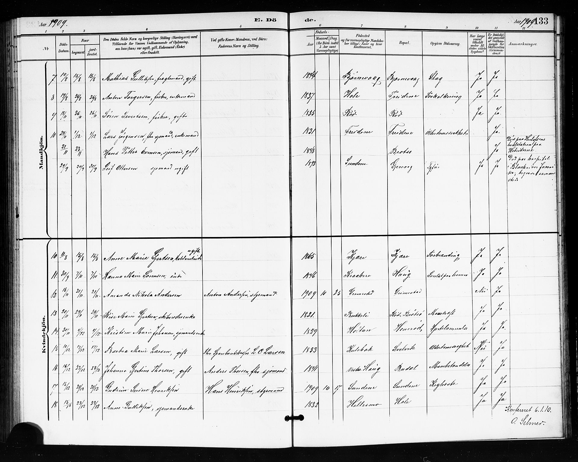 Tjøme kirkebøker, SAKO/A-328/G/Ga/L0001: Parish register (copy) no. 1, 1901-1910, p. 133