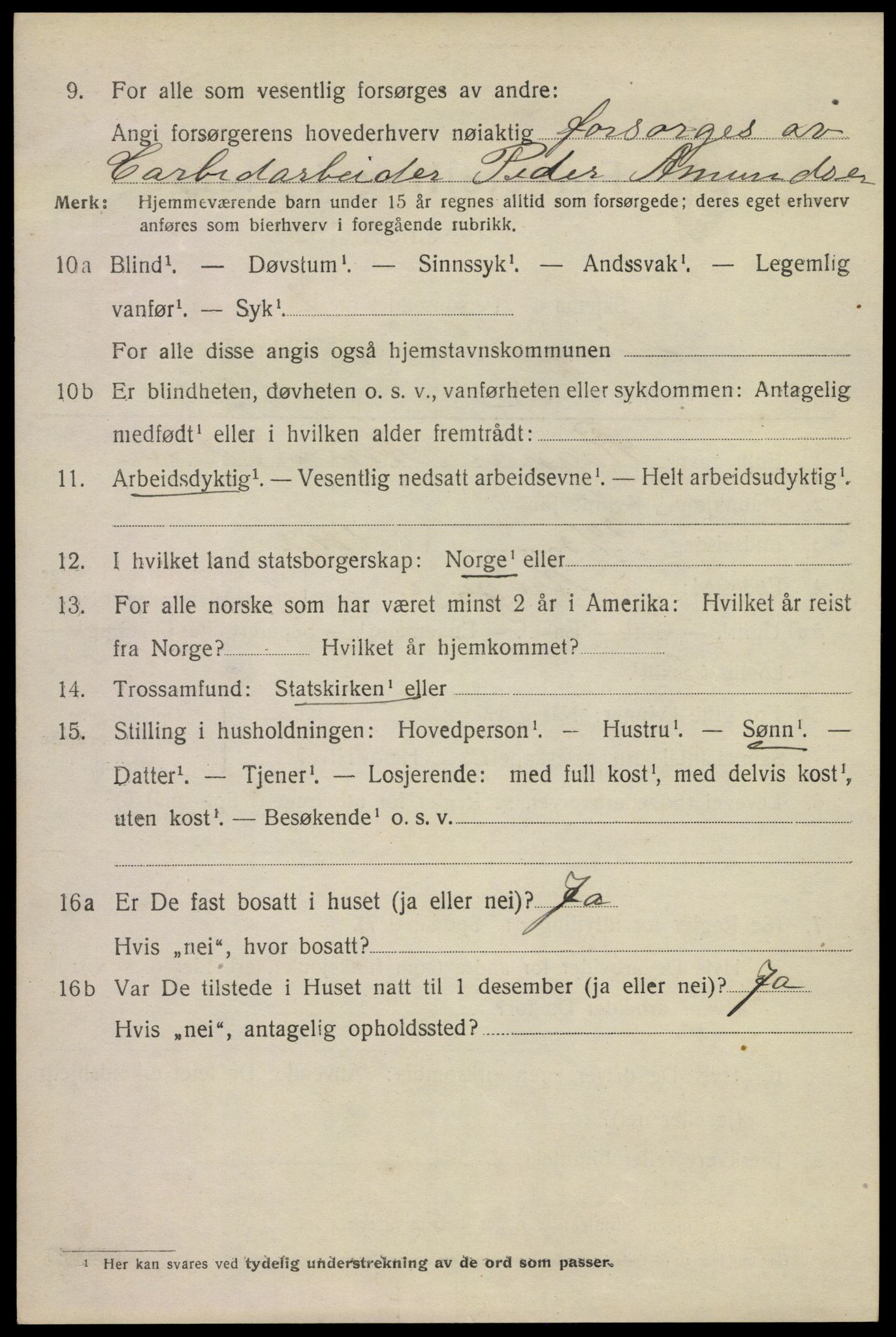 SAKO, 1920 census for Kragerø, 1920, p. 13160