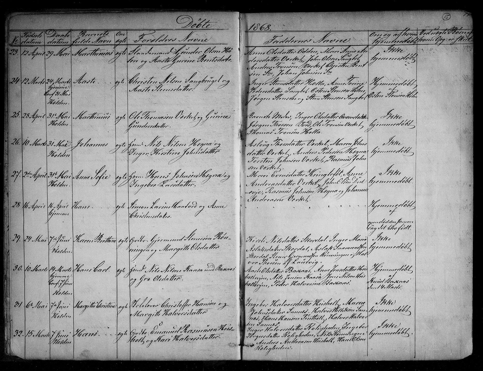 Holla kirkebøker, AV/SAKO-A-272/G/Ga/L0004: Parish register (copy) no. I 4, 1867-1890, p. 15