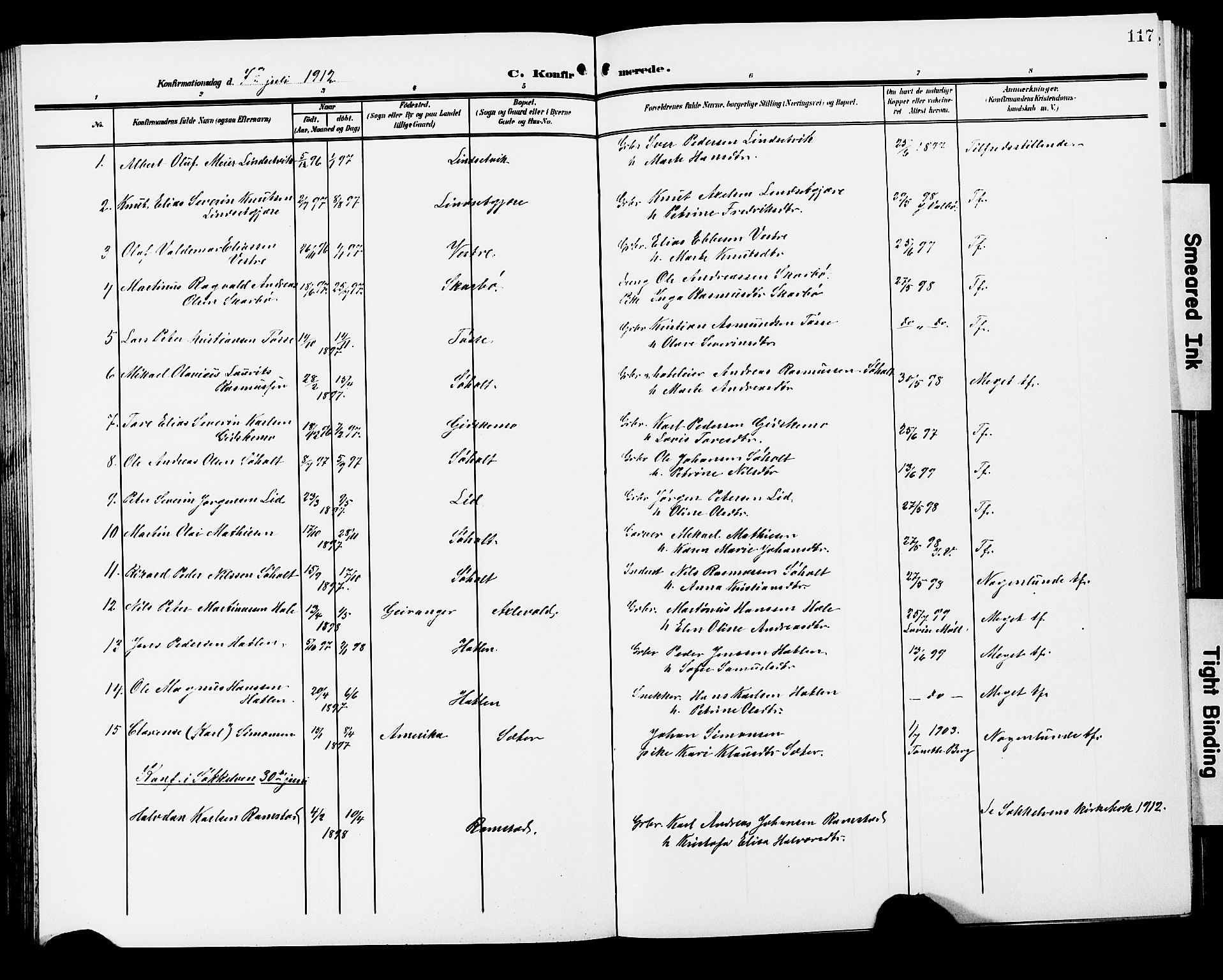 Ministerialprotokoller, klokkerbøker og fødselsregistre - Møre og Romsdal, AV/SAT-A-1454/522/L0328: Parish register (copy) no. 522C07, 1909-1925, p. 117