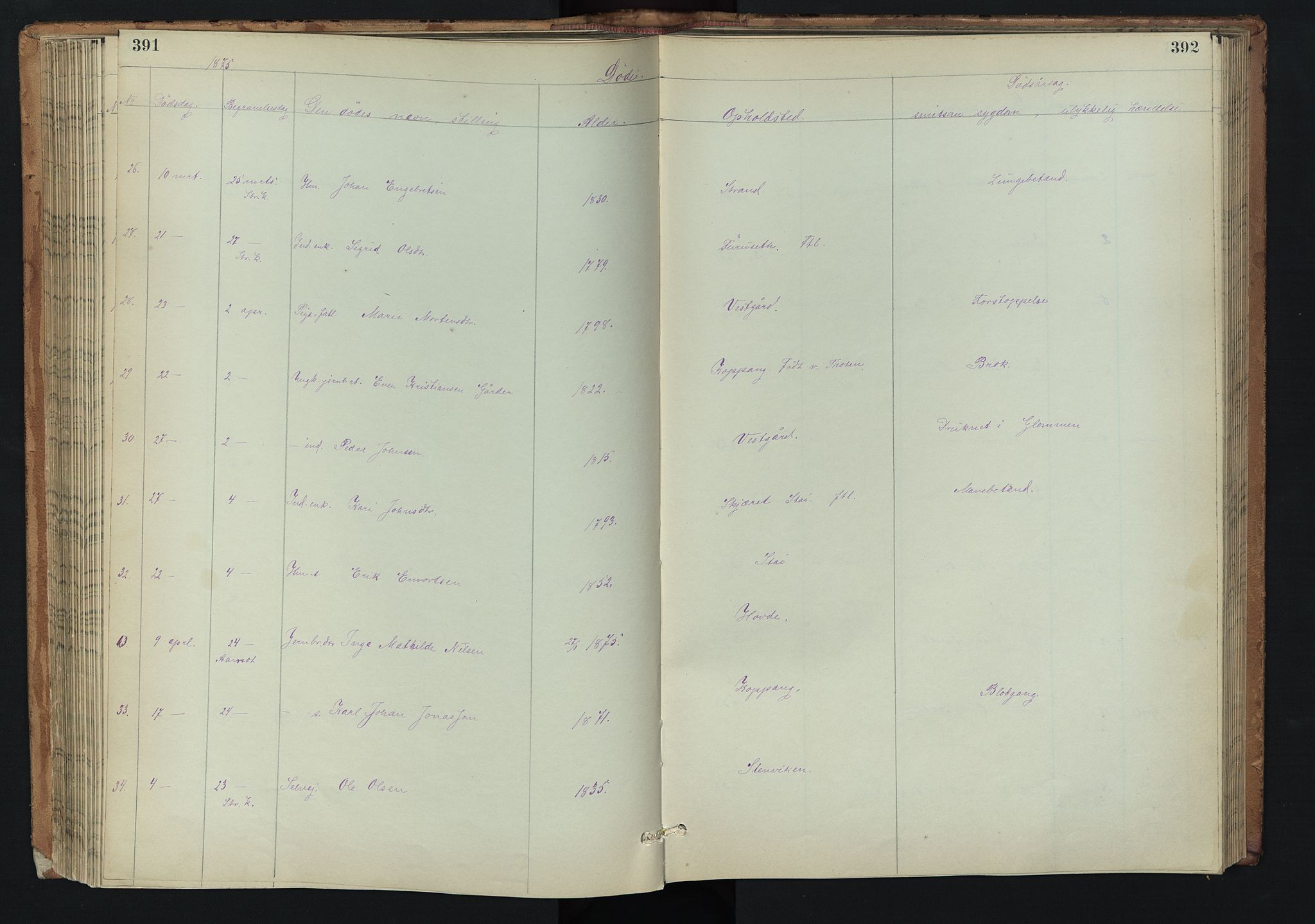 Stor-Elvdal prestekontor, AV/SAH-PREST-052/H/Ha/Hab/L0002: Parish register (copy) no. 2, 1860-1894, p. 391-392