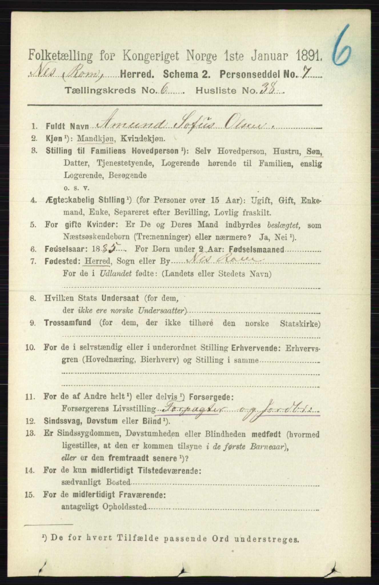 RA, 1891 census for 0236 Nes, 1891, p. 3623