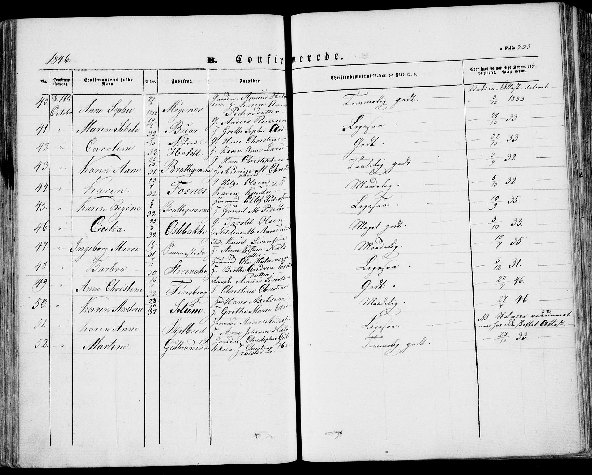 Stokke kirkebøker, AV/SAKO-A-320/F/Fa/L0007: Parish register (official) no. I 7, 1844-1857, p. 223