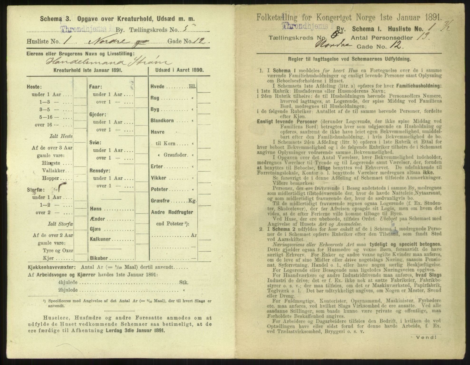 RA, 1891 census for 1601 Trondheim, 1891, p. 510