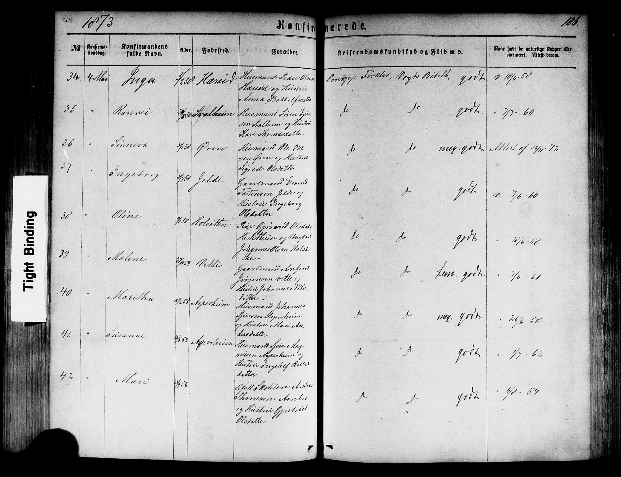 Årdal sokneprestembete, SAB/A-81701: Parish register (official) no. A 3, 1863-1886, p. 186
