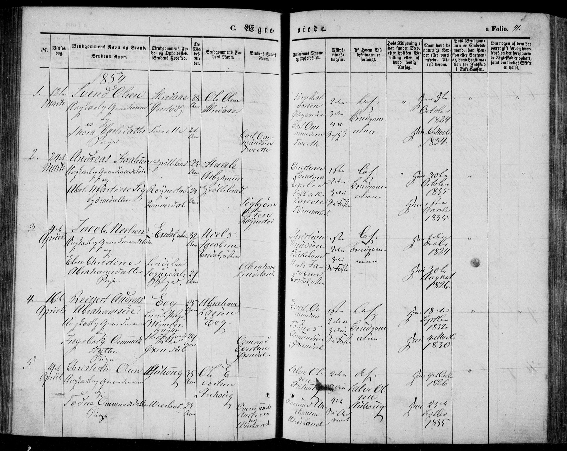 Bakke sokneprestkontor, AV/SAK-1111-0002/F/Fa/Faa/L0005: Parish register (official) no. A 5, 1847-1855, p. 41