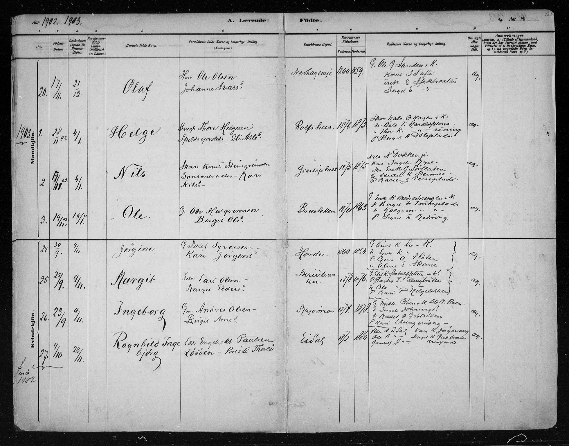 Nes kirkebøker, SAKO/A-236/F/Fa/L0011: Parish register (official) no. 11, 1881-1912, p. 125