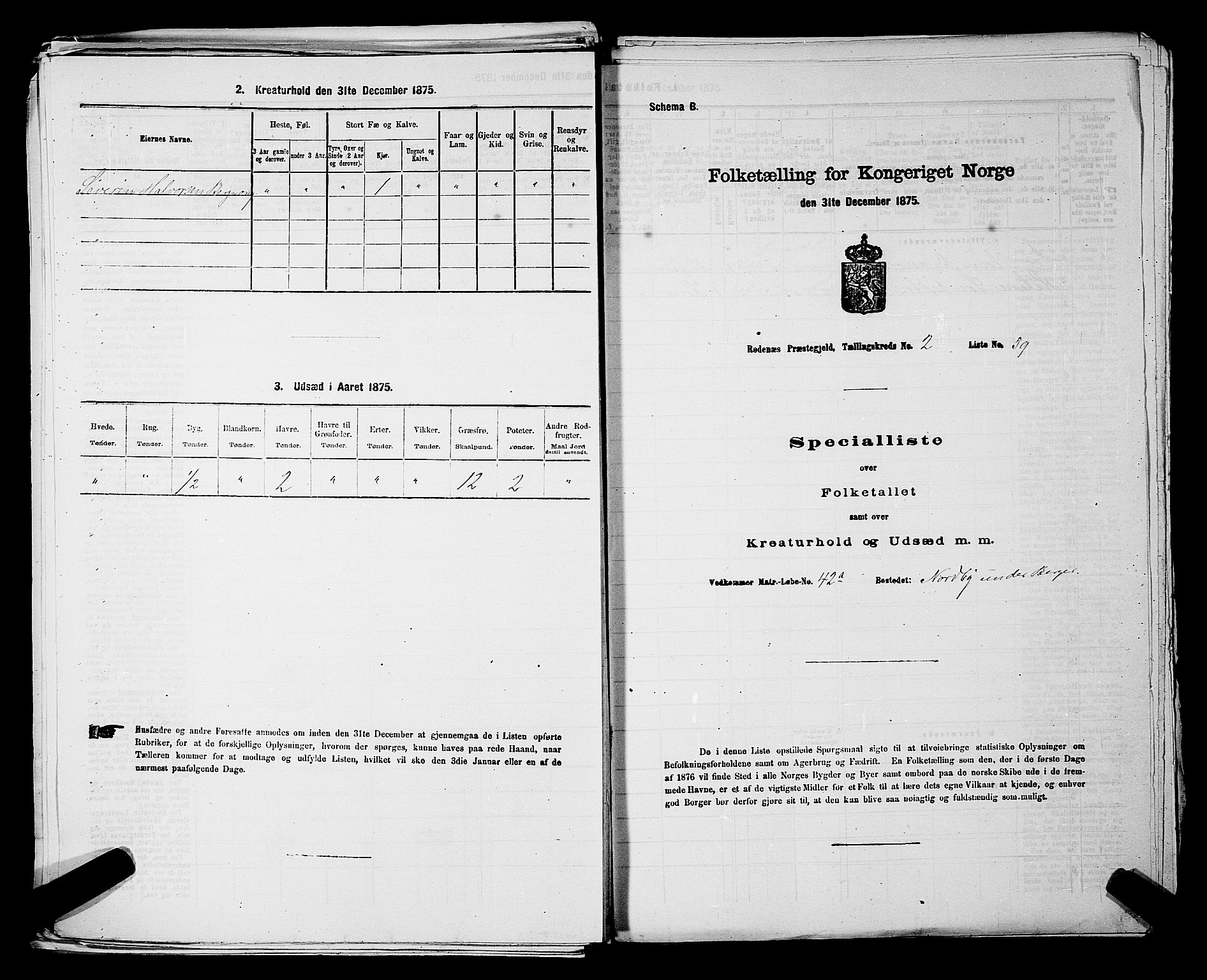 RA, 1875 census for 0120P Rødenes, 1875, p. 302
