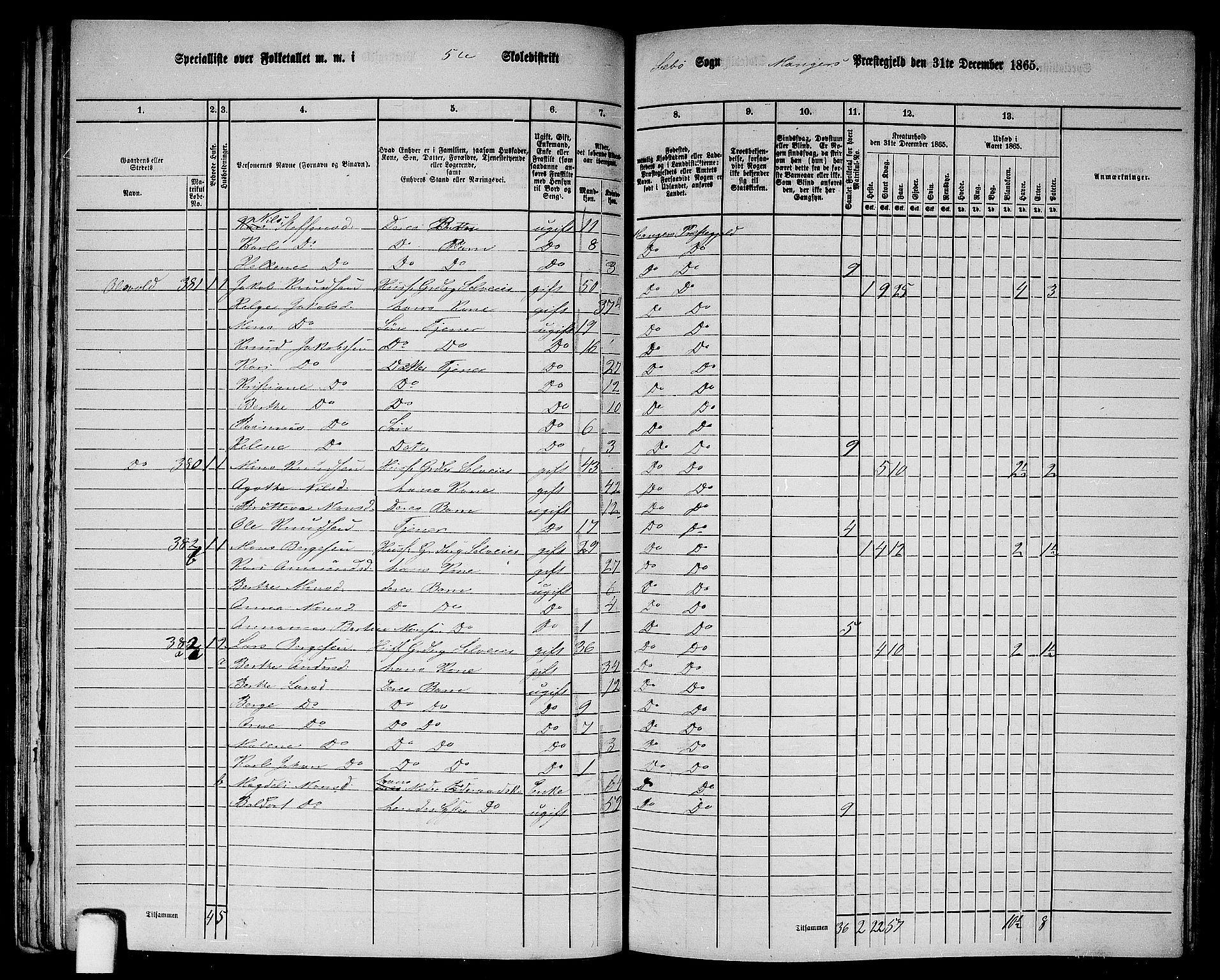 RA, 1865 census for Manger, 1865, p. 100