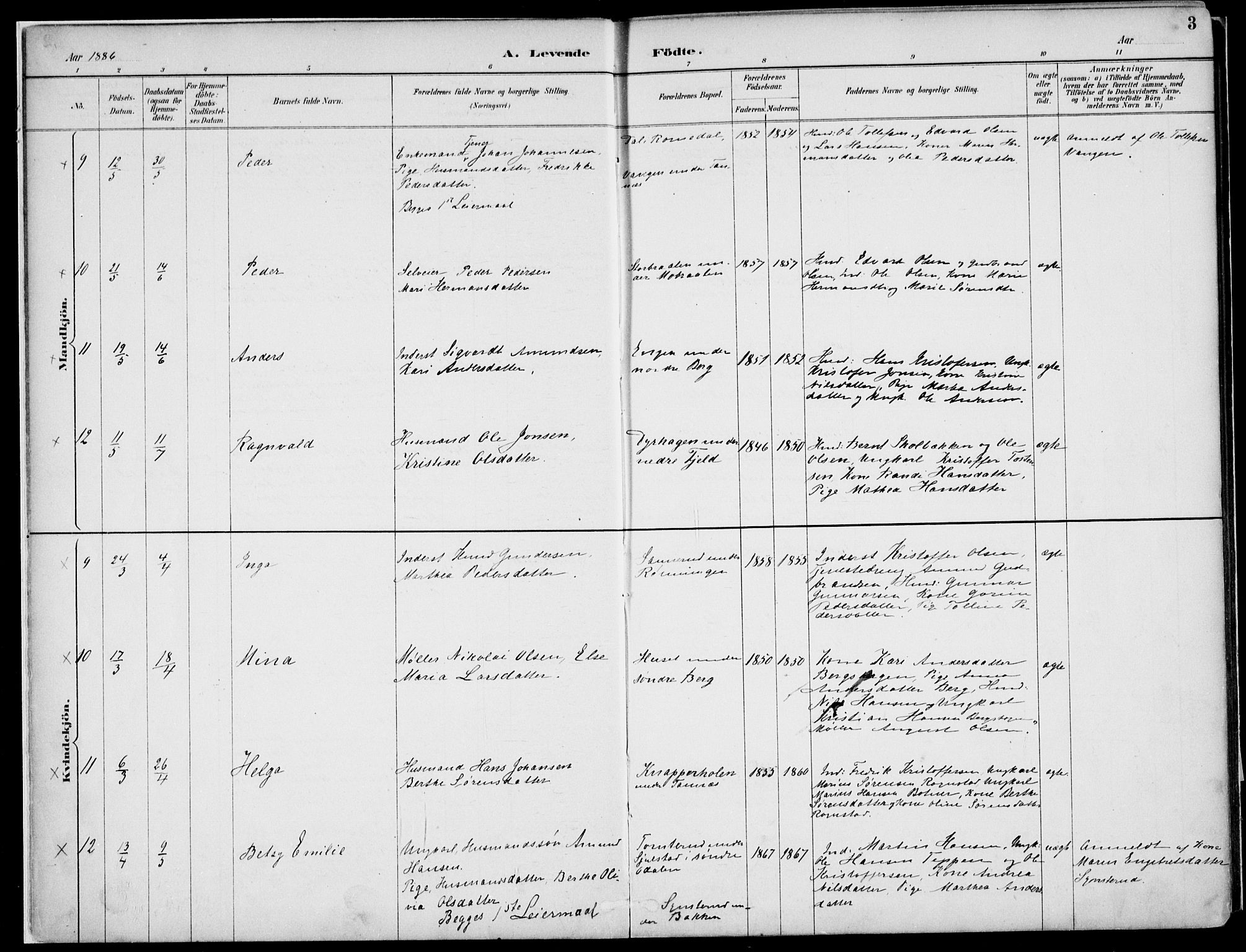 Nord-Odal prestekontor, SAH/PREST-032/H/Ha/Haa/L0008: Parish register (official) no. 8, 1886-1901, p. 3
