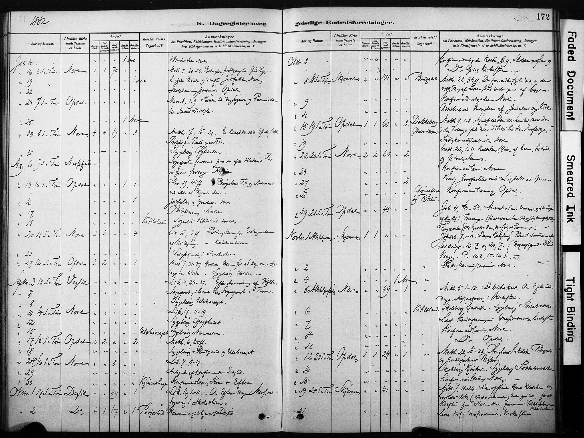 Nore kirkebøker, AV/SAKO-A-238/F/Fb/L0001: Parish register (official) no. II 1, 1878-1886, p. 172