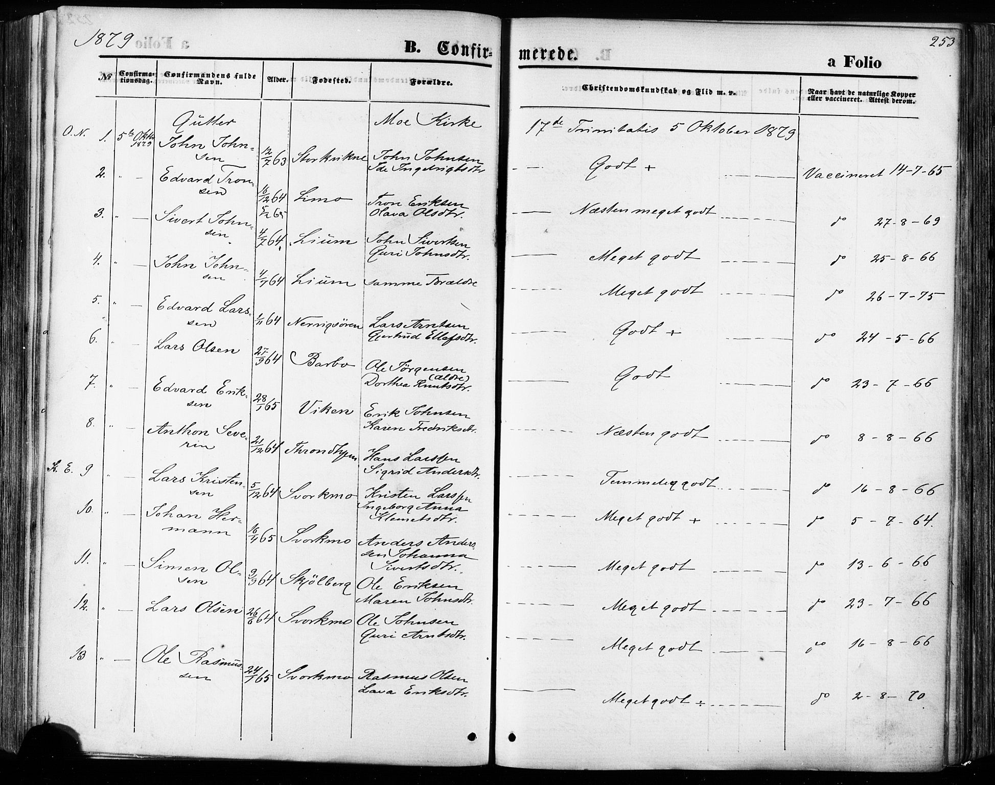 Ministerialprotokoller, klokkerbøker og fødselsregistre - Sør-Trøndelag, AV/SAT-A-1456/668/L0807: Parish register (official) no. 668A07, 1870-1880, p. 253