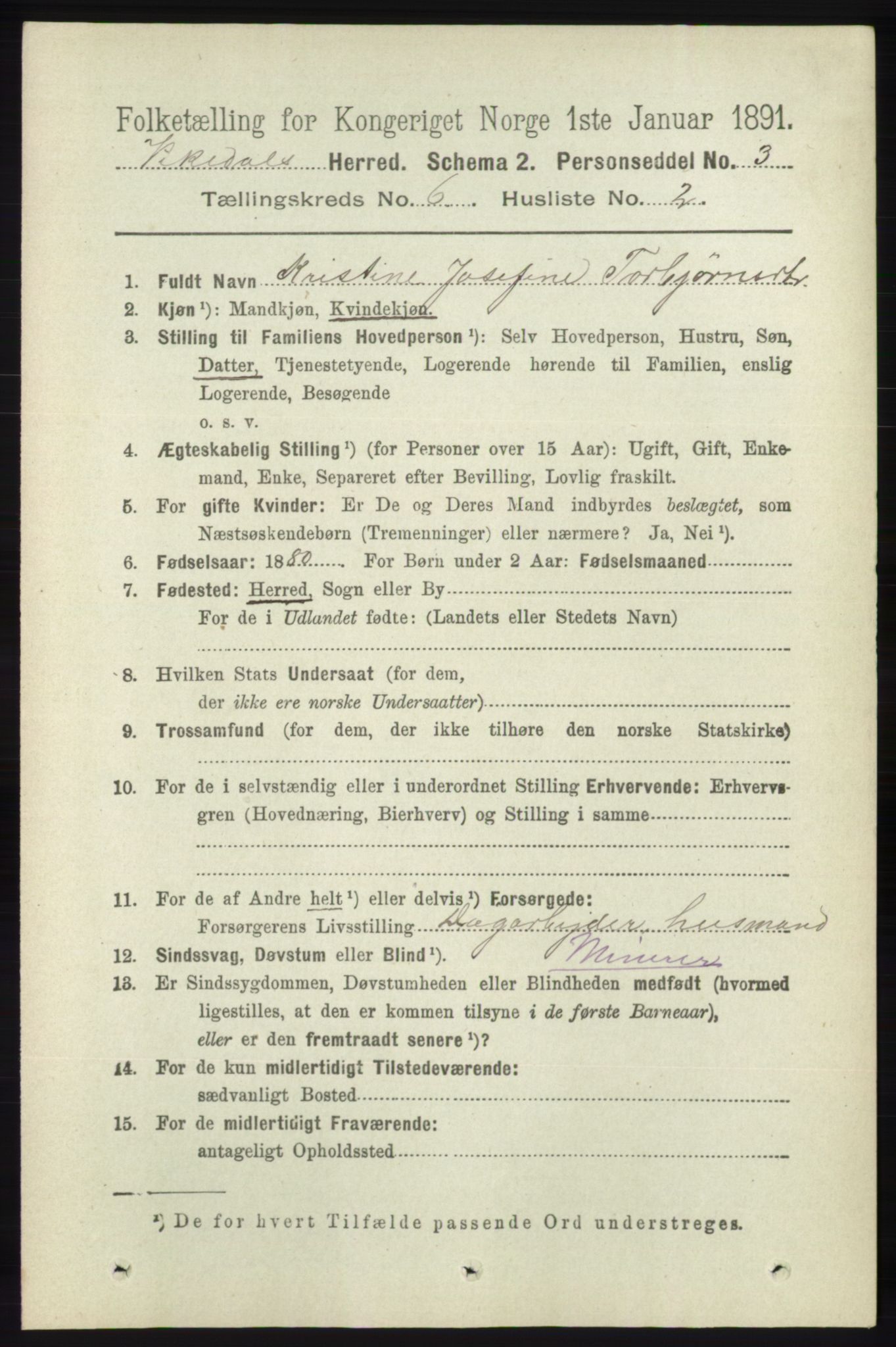 RA, 1891 census for 1157 Vikedal, 1891, p. 1577