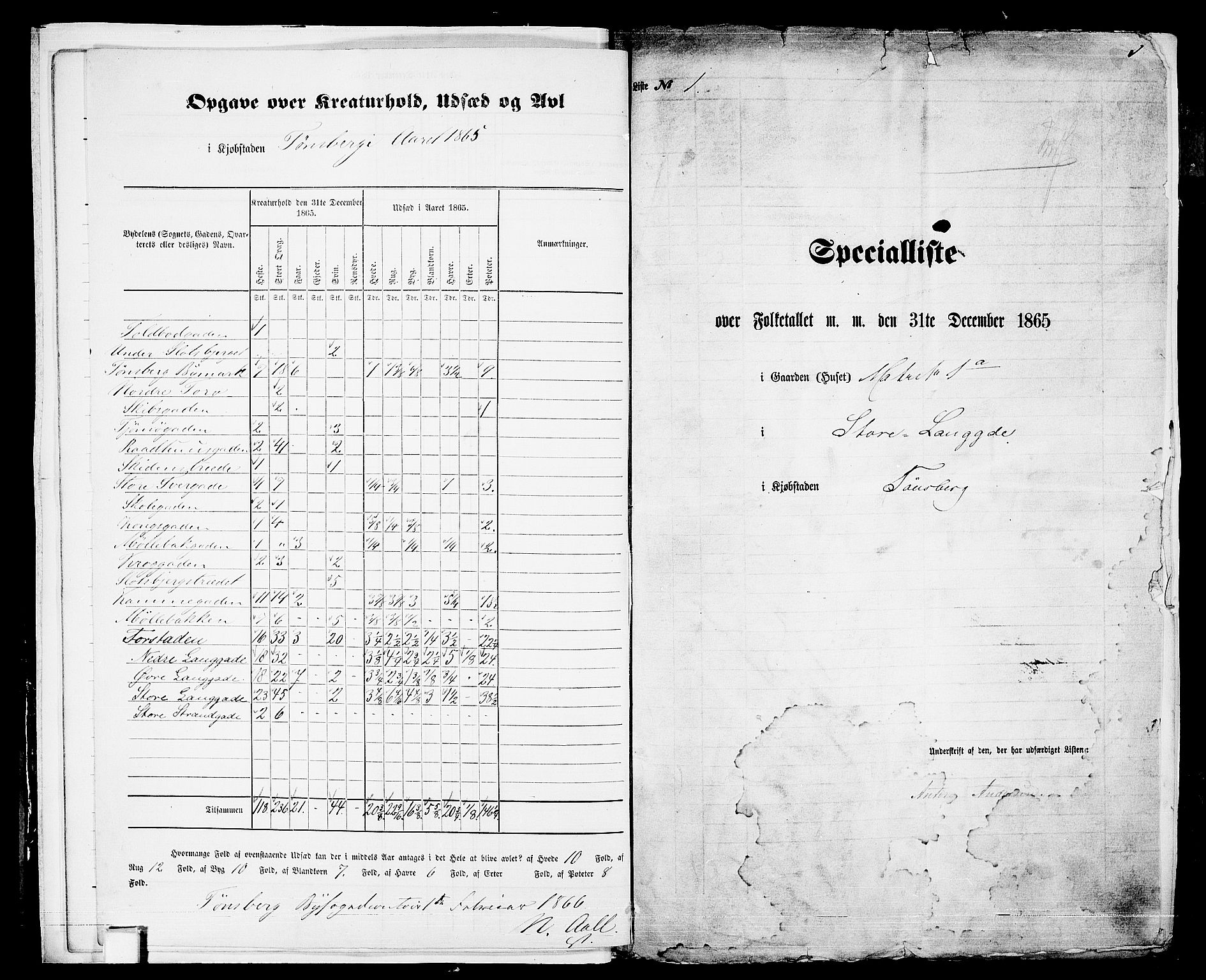 RA, 1865 census for Tønsberg, 1865, p. 12