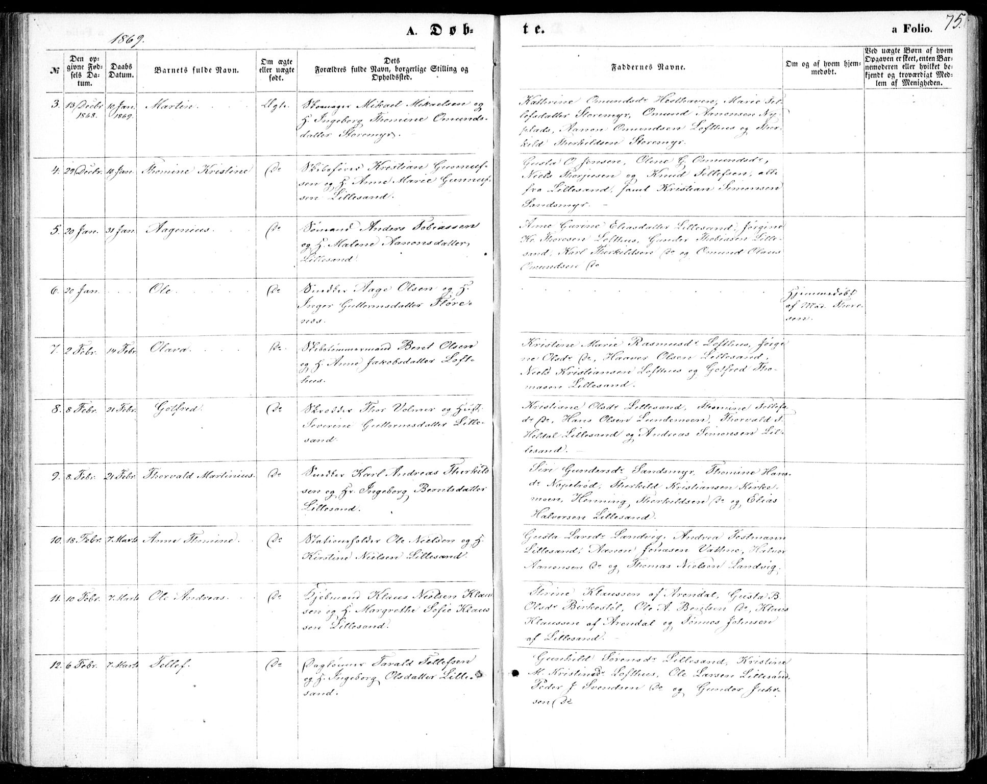 Vestre Moland sokneprestkontor, AV/SAK-1111-0046/F/Fb/Fbb/L0004: Parish register (copy) no. B 4, 1861-1872, p. 75