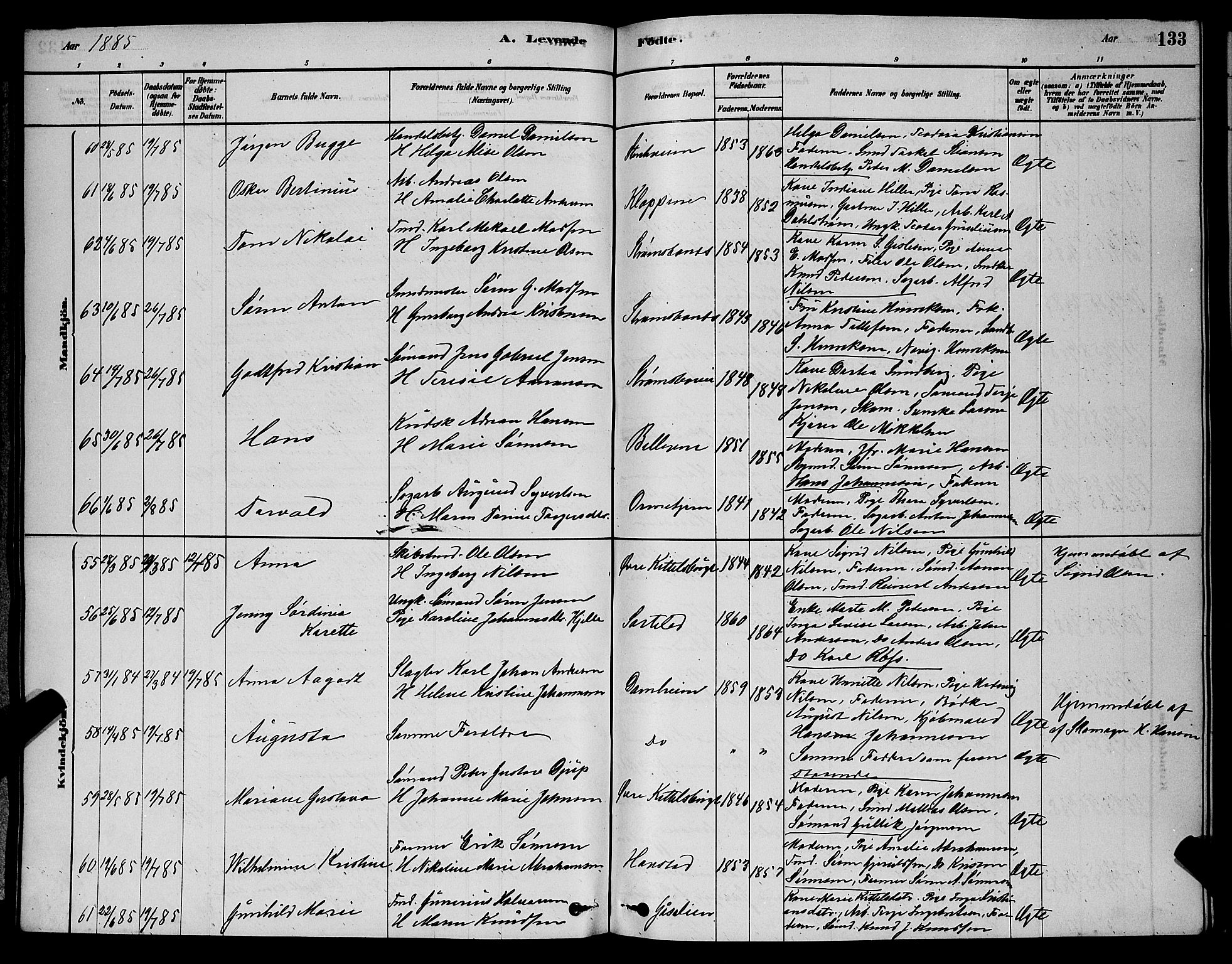 Barbu sokneprestkontor, AV/SAK-1111-0003/F/Fb/L0001: Parish register (copy) no. B 1, 1878-1890, p. 133