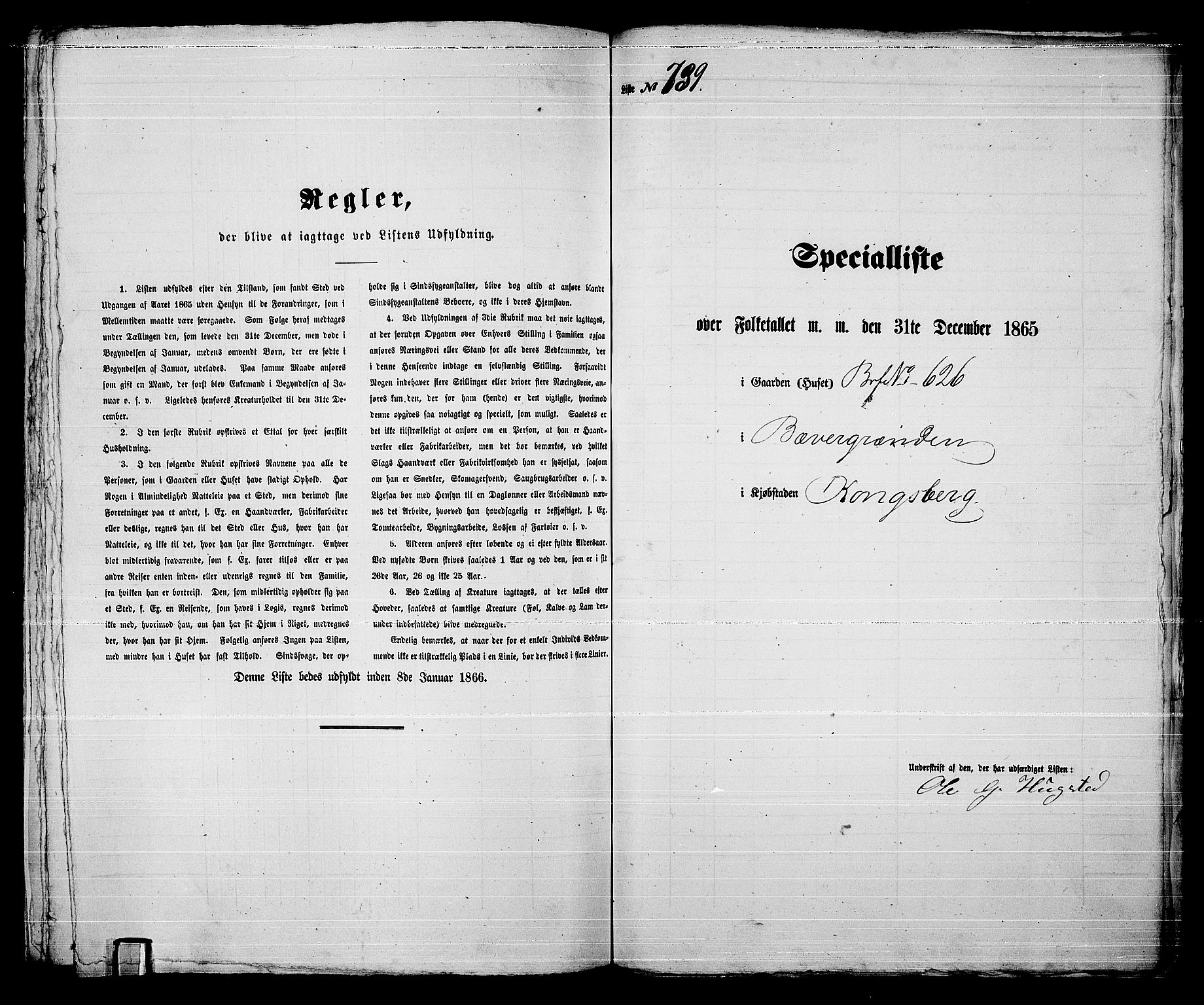 RA, 1865 census for Kongsberg/Kongsberg, 1865, p. 1502