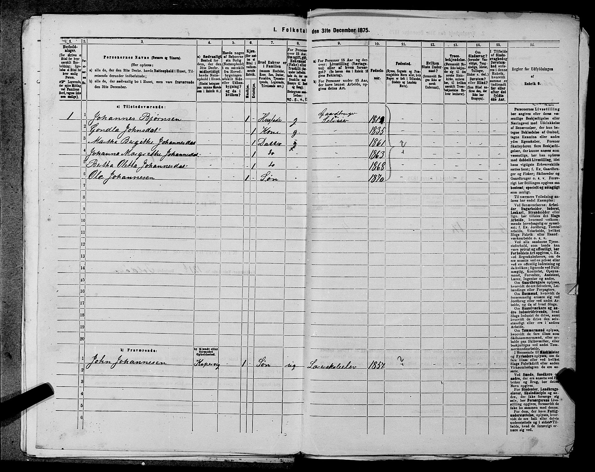 SAST, 1875 census for 1138P Jelsa, 1875, p. 574