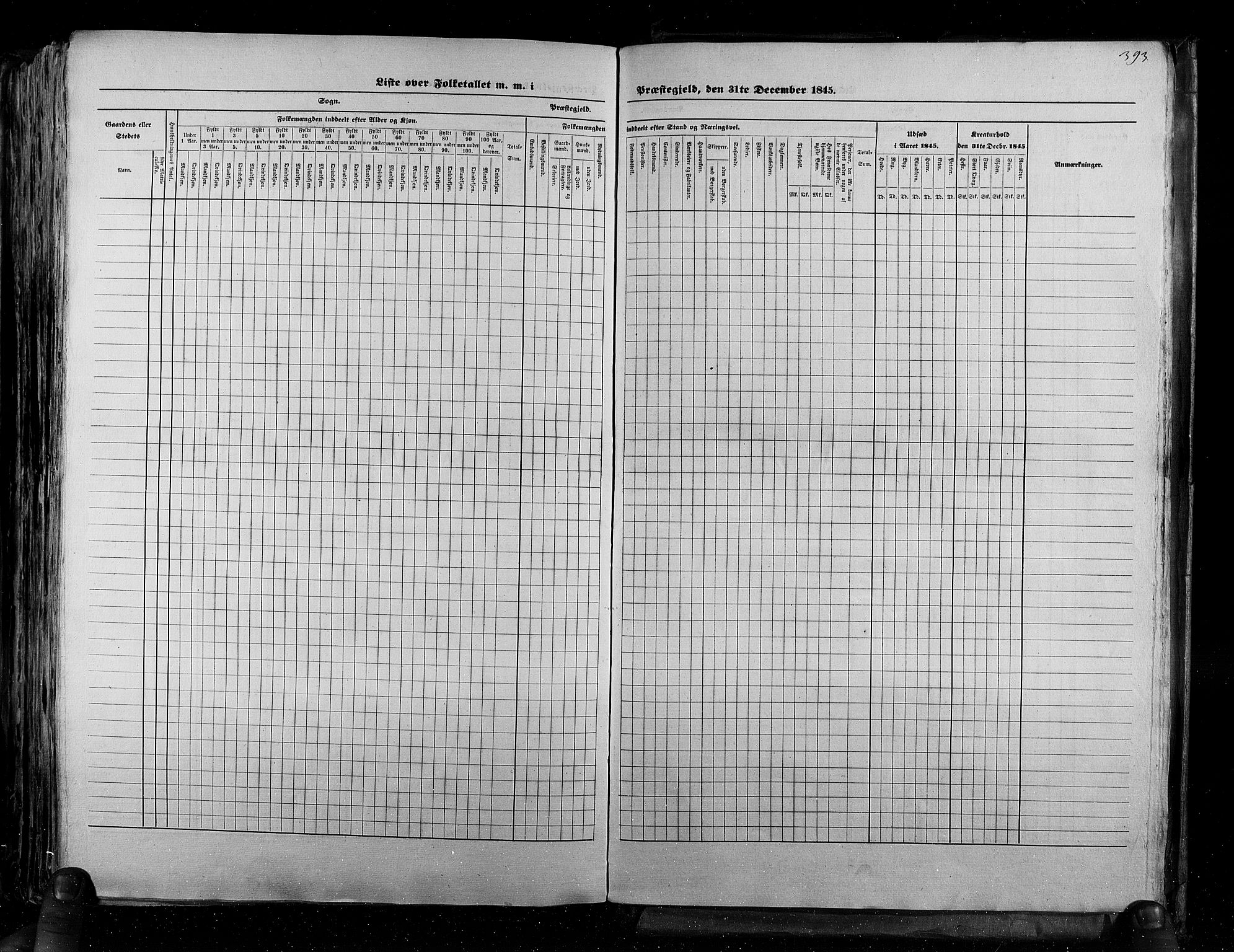 RA, Census 1845, vol. 5: Bratsberg amt og Nedenes og Råbyggelaget amt, 1845, p. 393