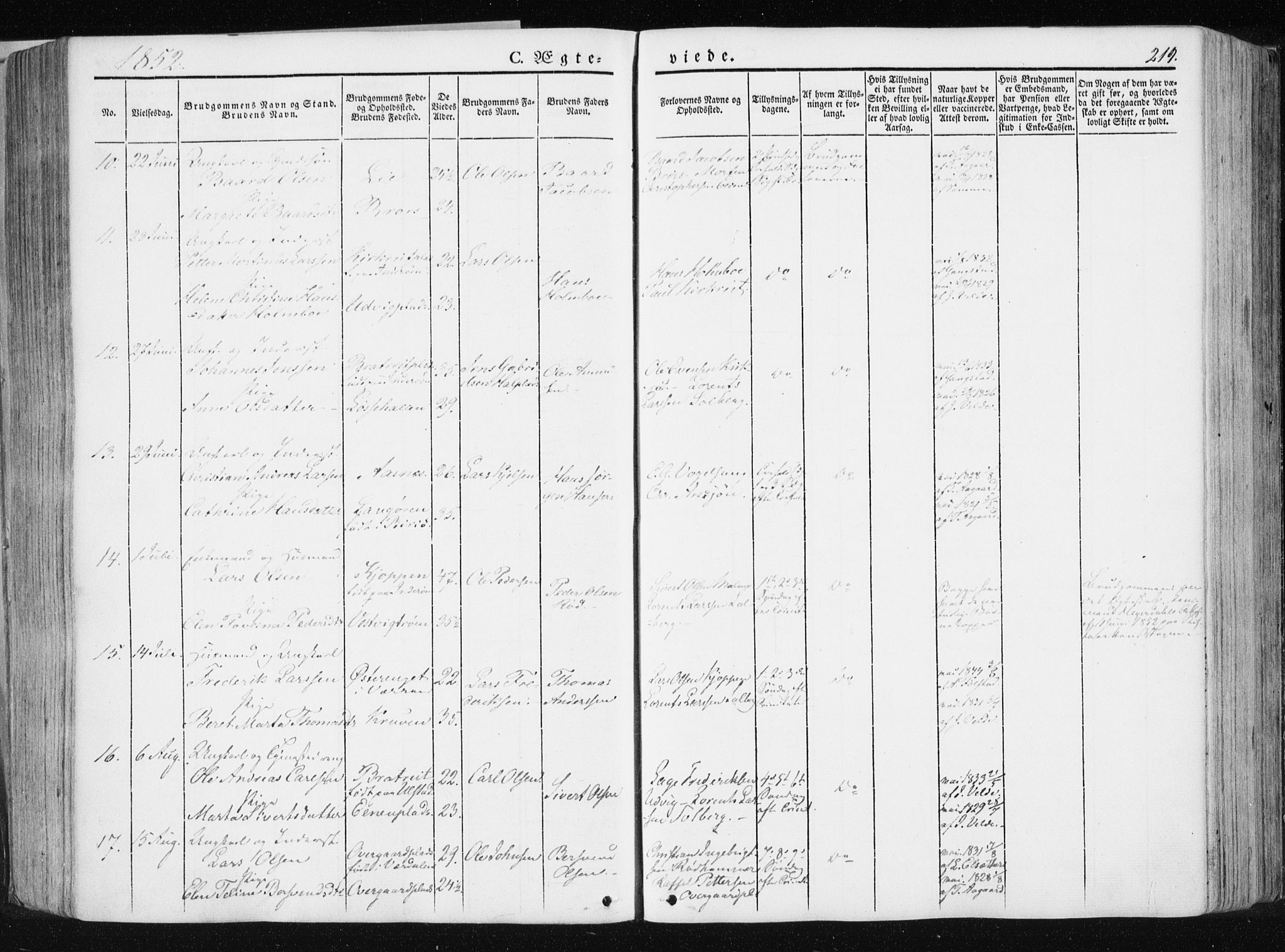 Ministerialprotokoller, klokkerbøker og fødselsregistre - Nord-Trøndelag, AV/SAT-A-1458/741/L0393: Parish register (official) no. 741A07, 1849-1863, p. 219