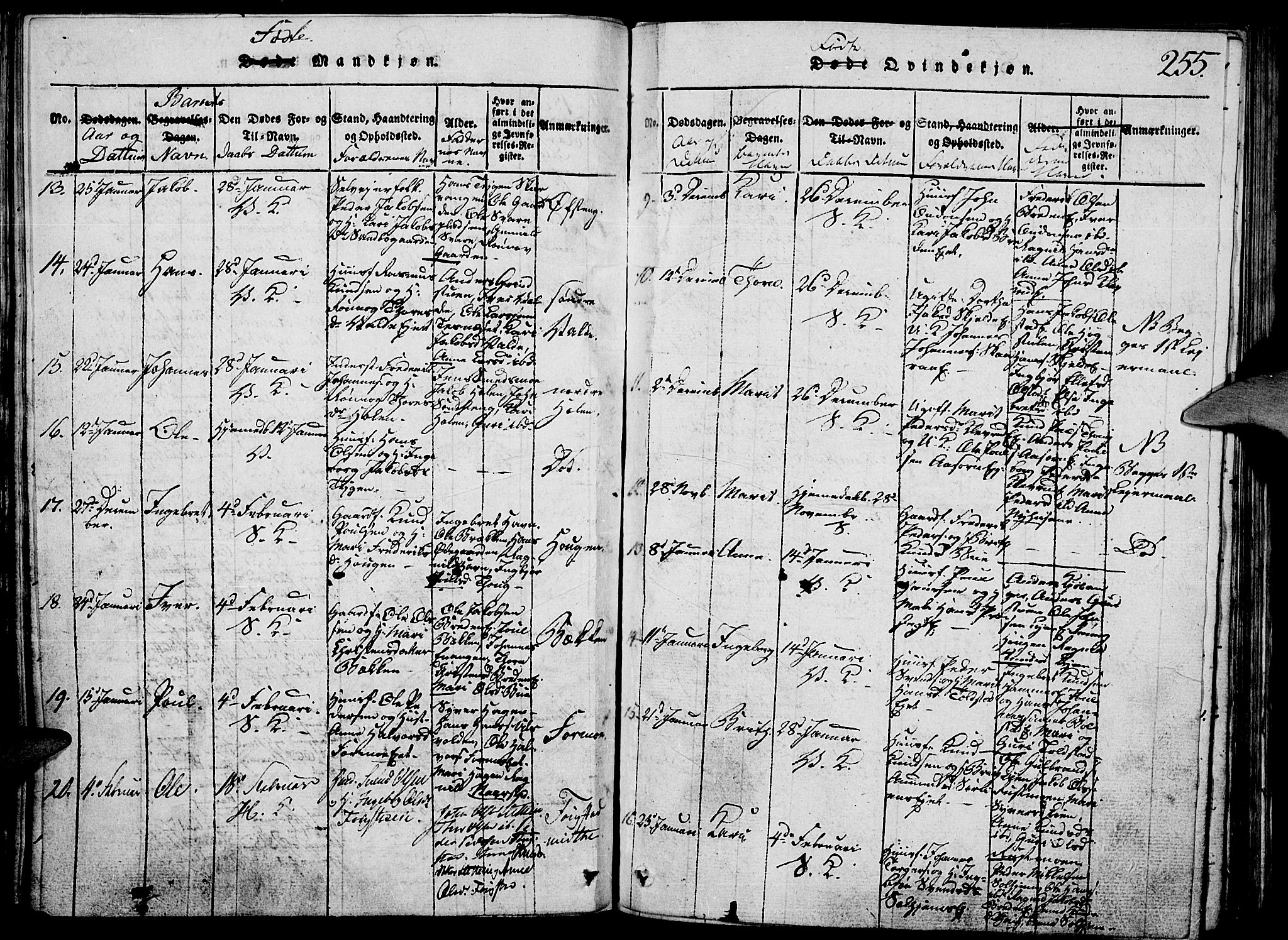 Vågå prestekontor, SAH/PREST-076/H/Ha/Hab/L0001: Parish register (copy) no. 1, 1815-1827, p. 254-255
