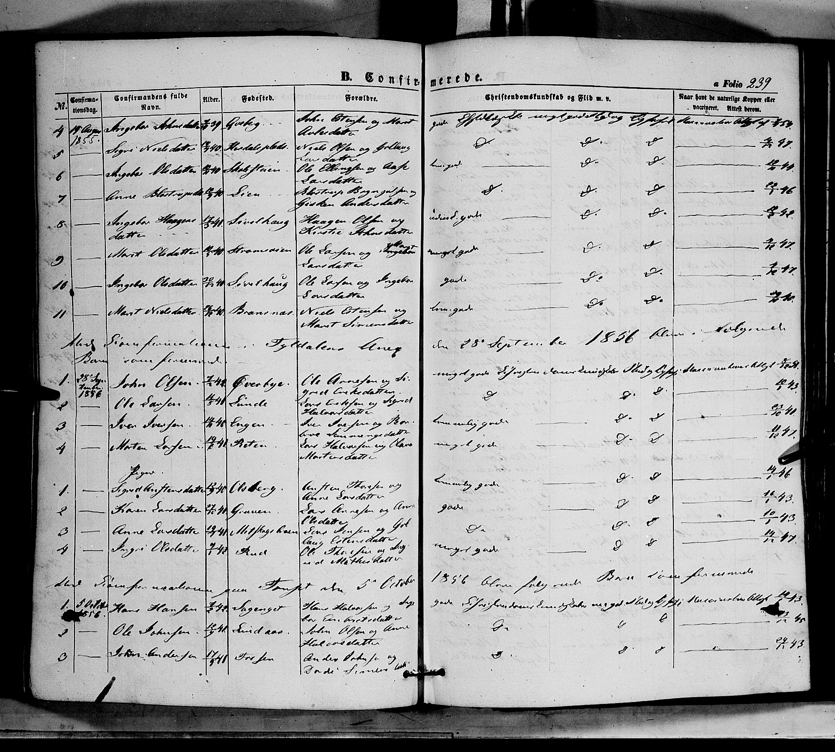 Tynset prestekontor, SAH/PREST-058/H/Ha/Haa/L0020: Parish register (official) no. 20, 1848-1862, p. 239