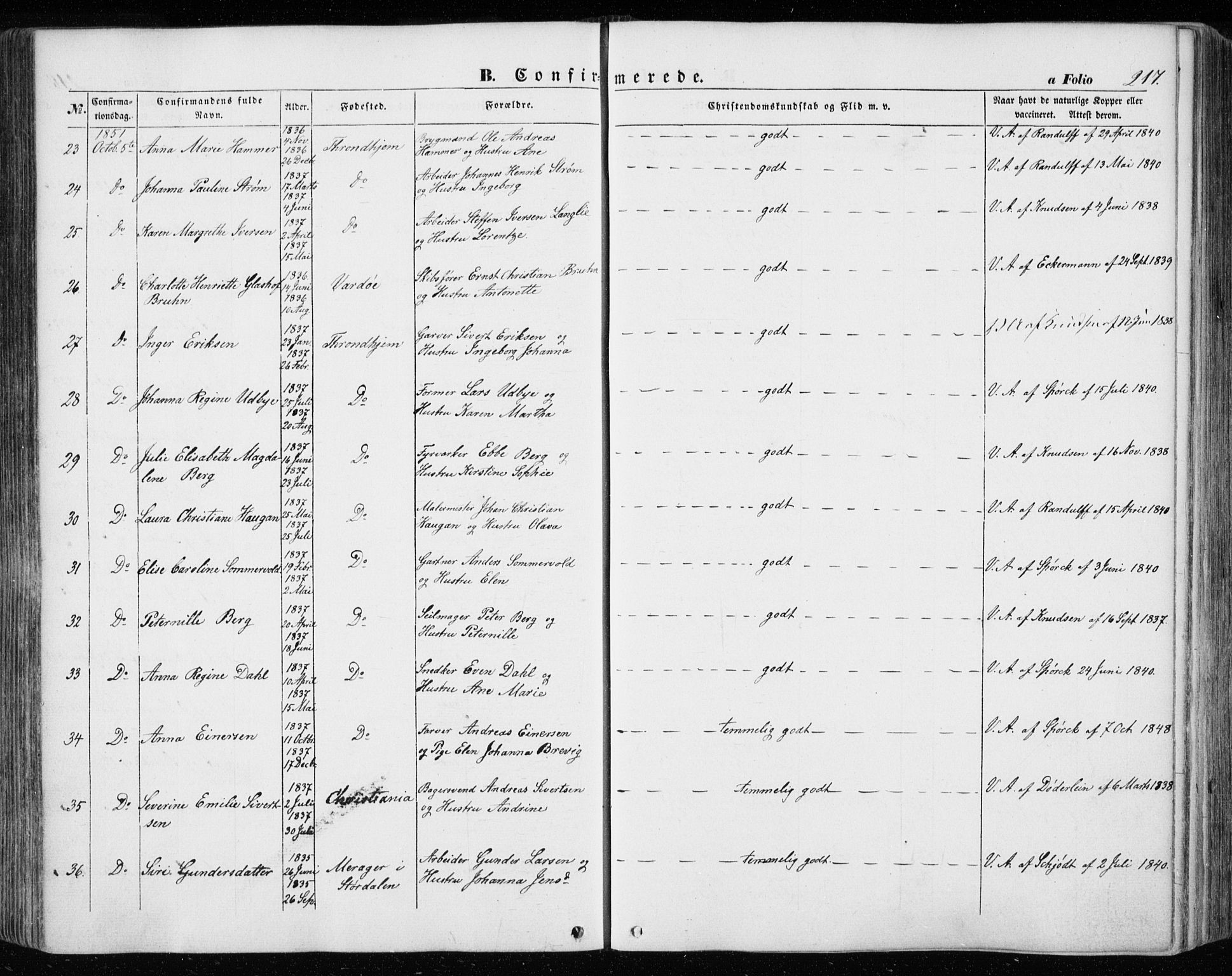 Ministerialprotokoller, klokkerbøker og fødselsregistre - Sør-Trøndelag, SAT/A-1456/601/L0051: Parish register (official) no. 601A19, 1848-1857, p. 217