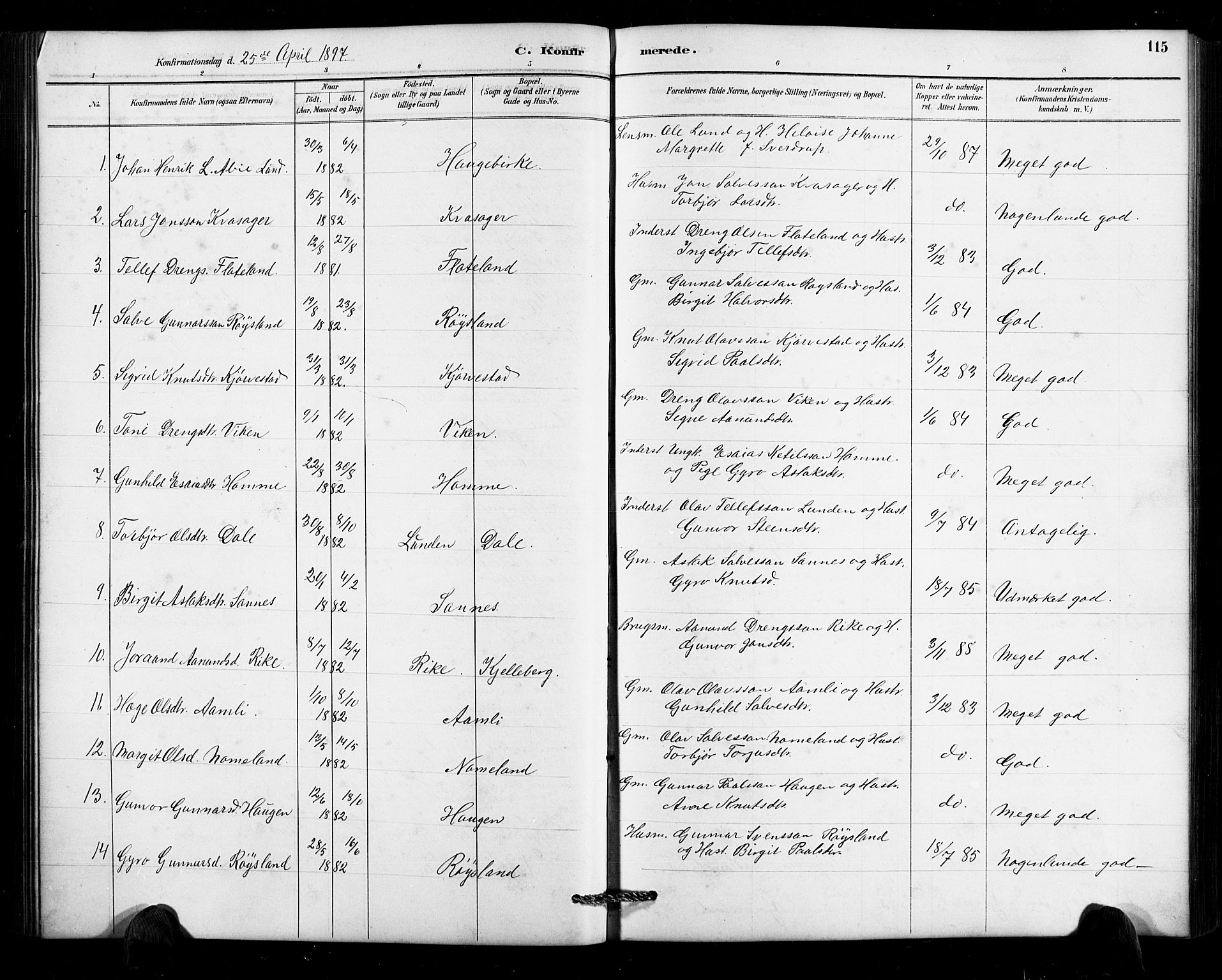 Valle sokneprestkontor, AV/SAK-1111-0044/F/Fb/Fbc/L0004: Parish register (copy) no. B 4, 1890-1928, p. 115
