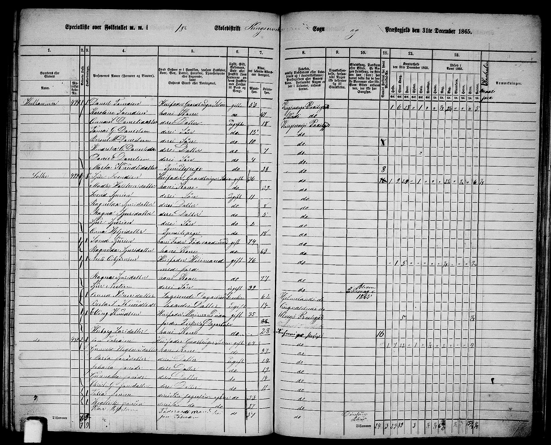 RA, 1865 census for Kinsarvik, 1865, p. 203